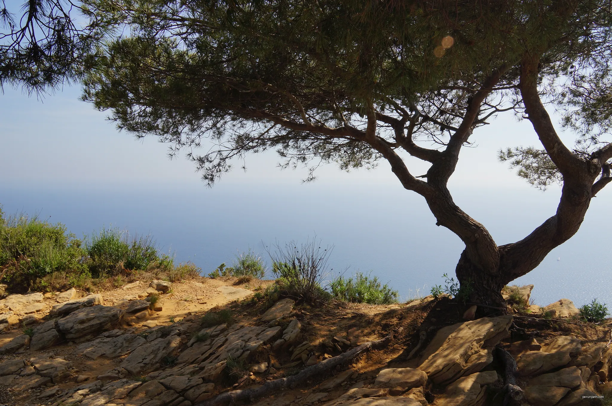 13260 Cassis, France | Autor: cosmopolitan-views | Licencja: CC BY-SA 3.0 | Źródło: Wikimedia Commons