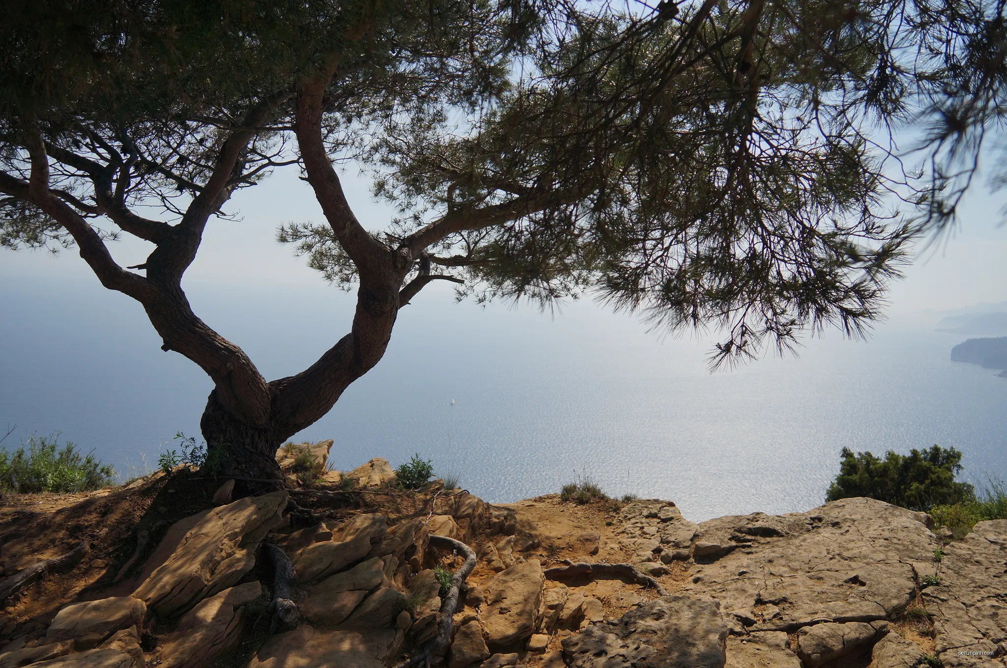 13260 Cassis, France | Autor: cosmopolitan-views | Licencja: CC BY-SA 3.0 | Źródło: Wikimedia Commons