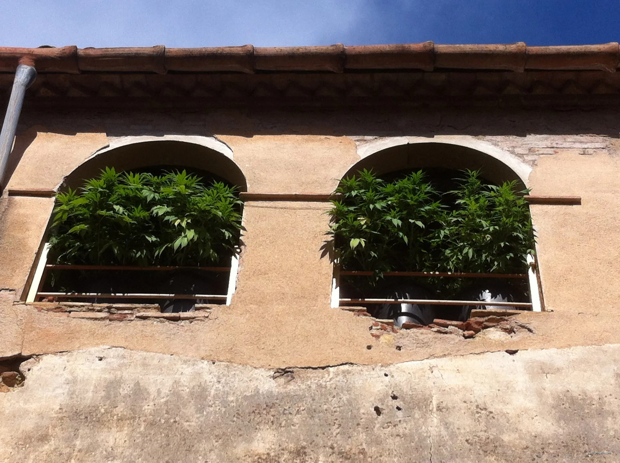 17118 Cruïlles, Monells i Sant Sadurní de l'Heura, Girona, Spain | Autor: Yliana S.P. | Licencja: CC BY-SA 3.0 | Źródło: Wikimedia Commons
