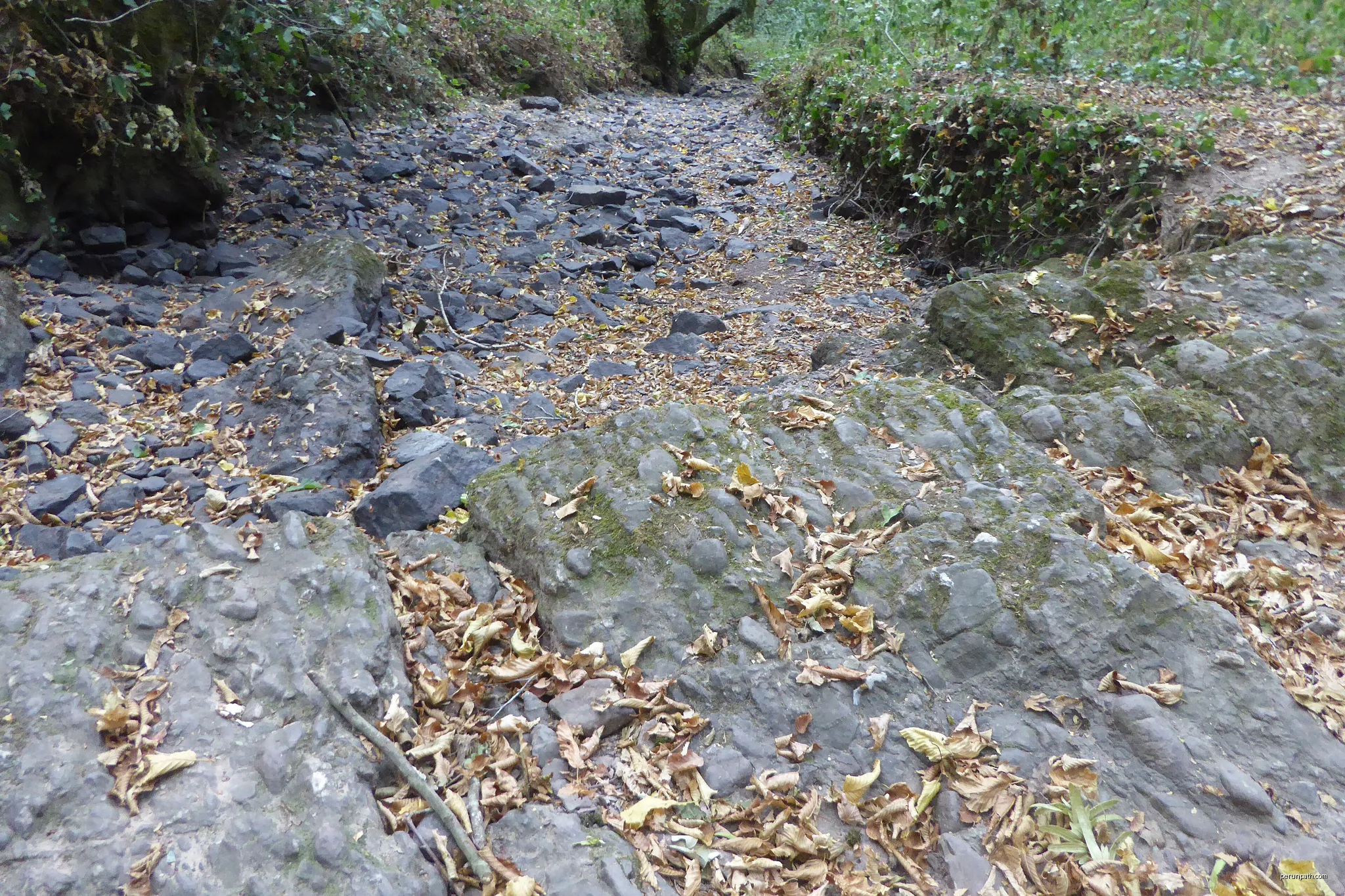 Au grés de Brès
