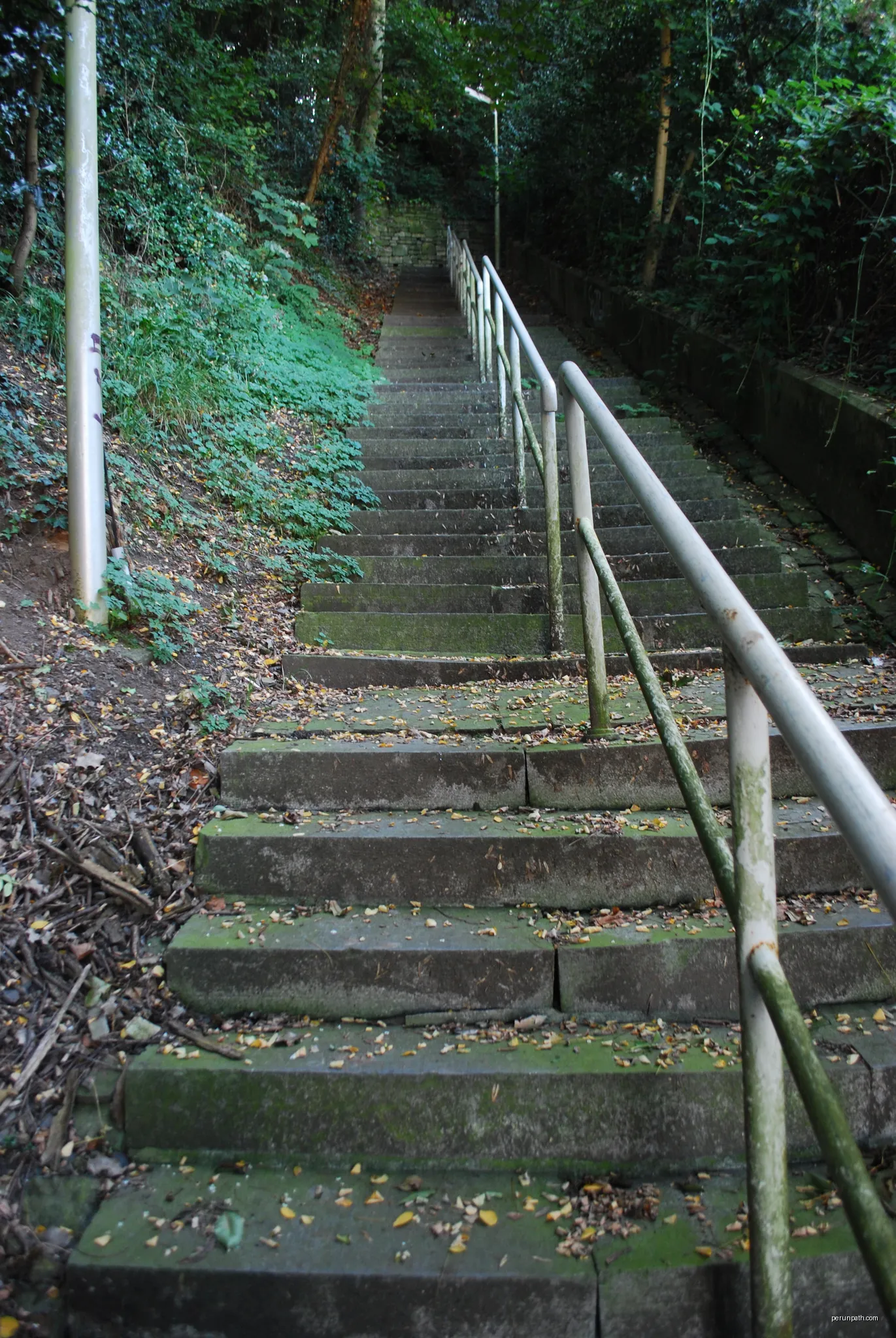Chemin des Cèdres