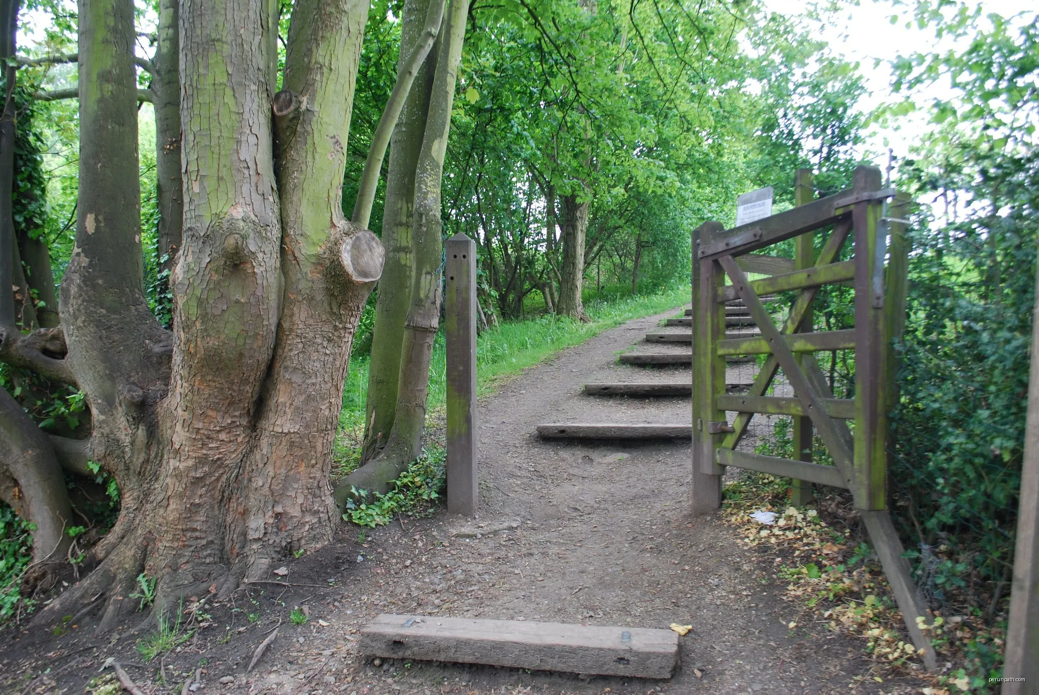 Sentier des Vaches