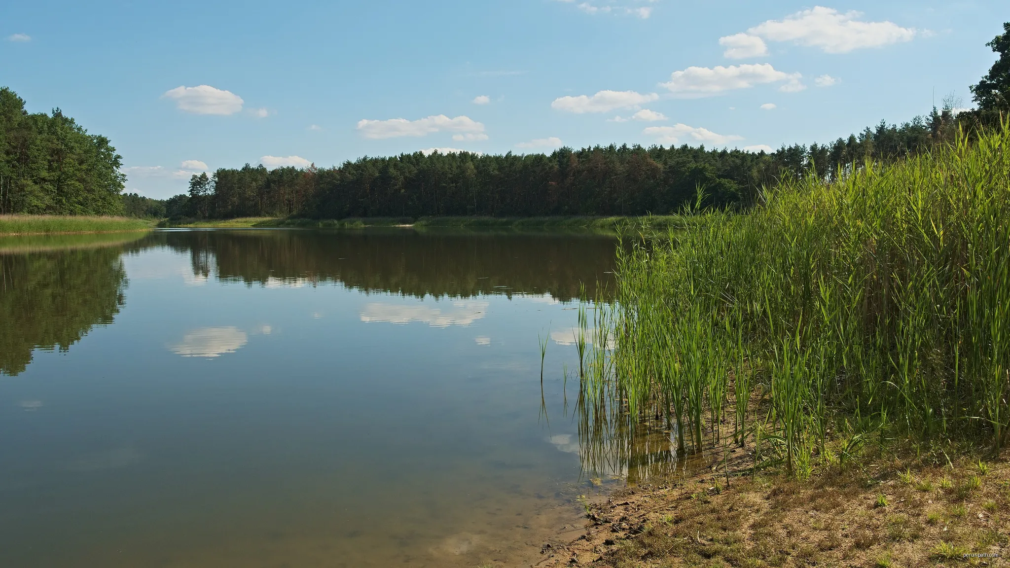 Premsdorfer See. Taken near Ahrensdorf, Rietz-Neuendorf, Brandenburg, Germany. | Autor: Andreas Eichler | Licencja: CC BY-SA 4.0 | Źródło: Wikimedia Commons