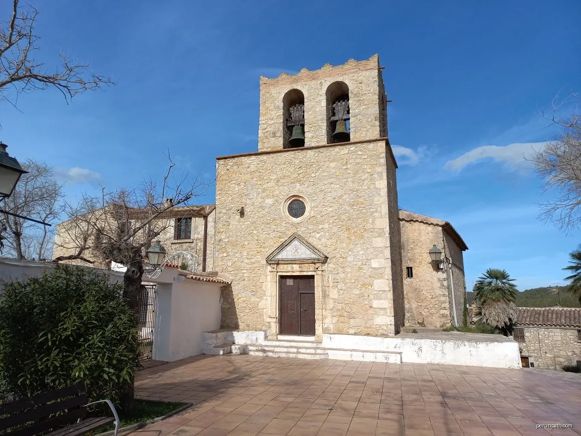 Olivella