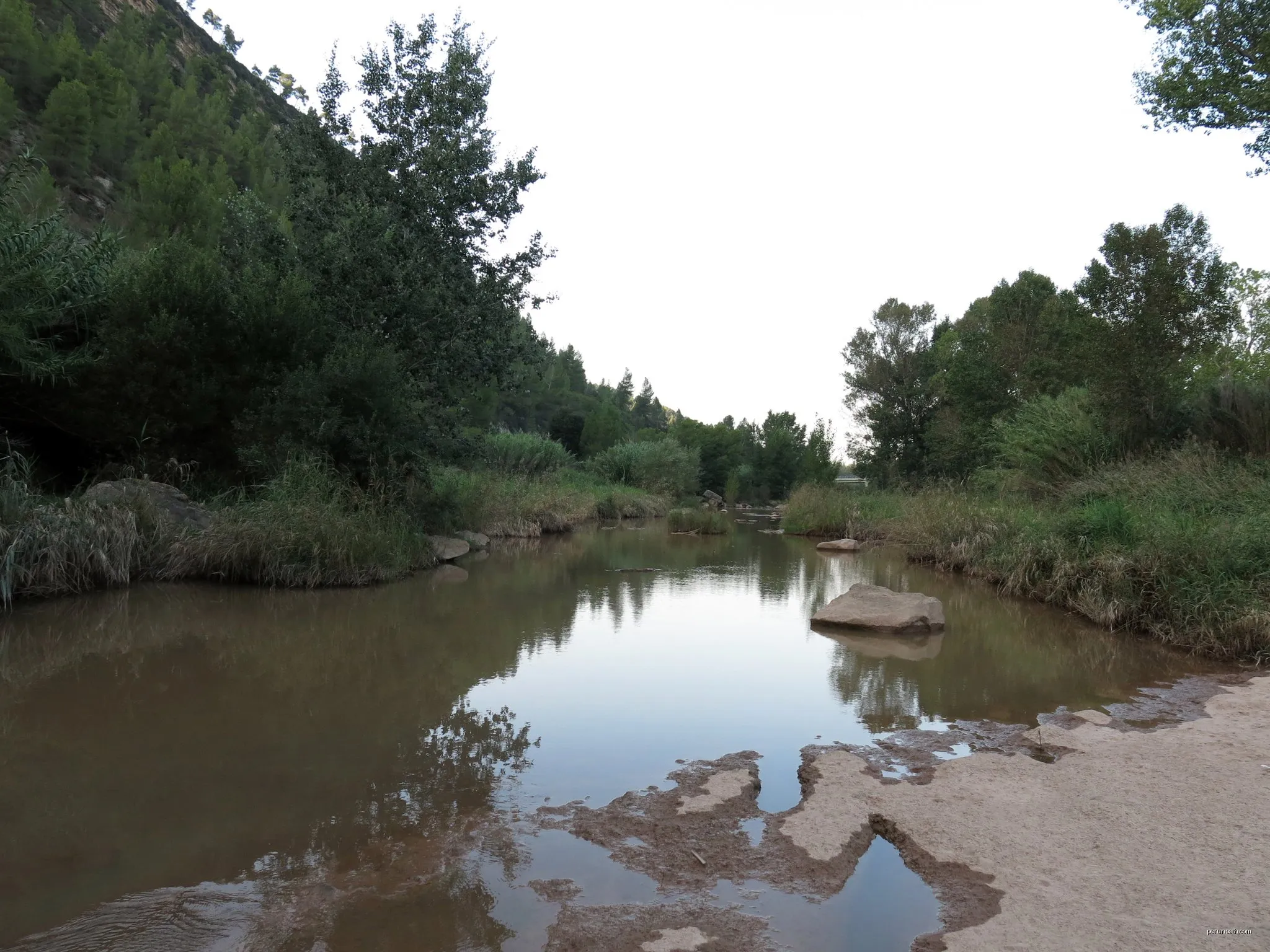 Les tines de la vall del Flequer
