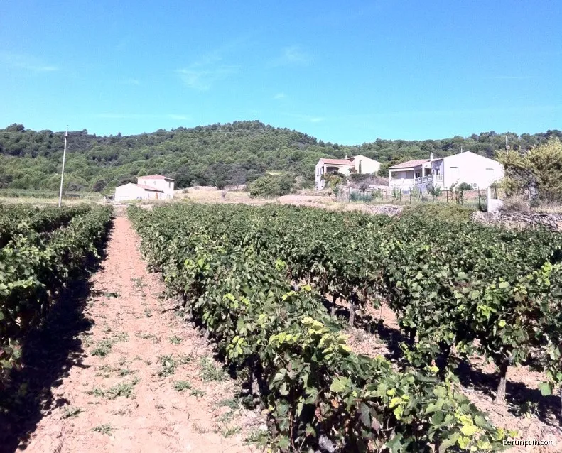 Félines-Minervois Ventajou