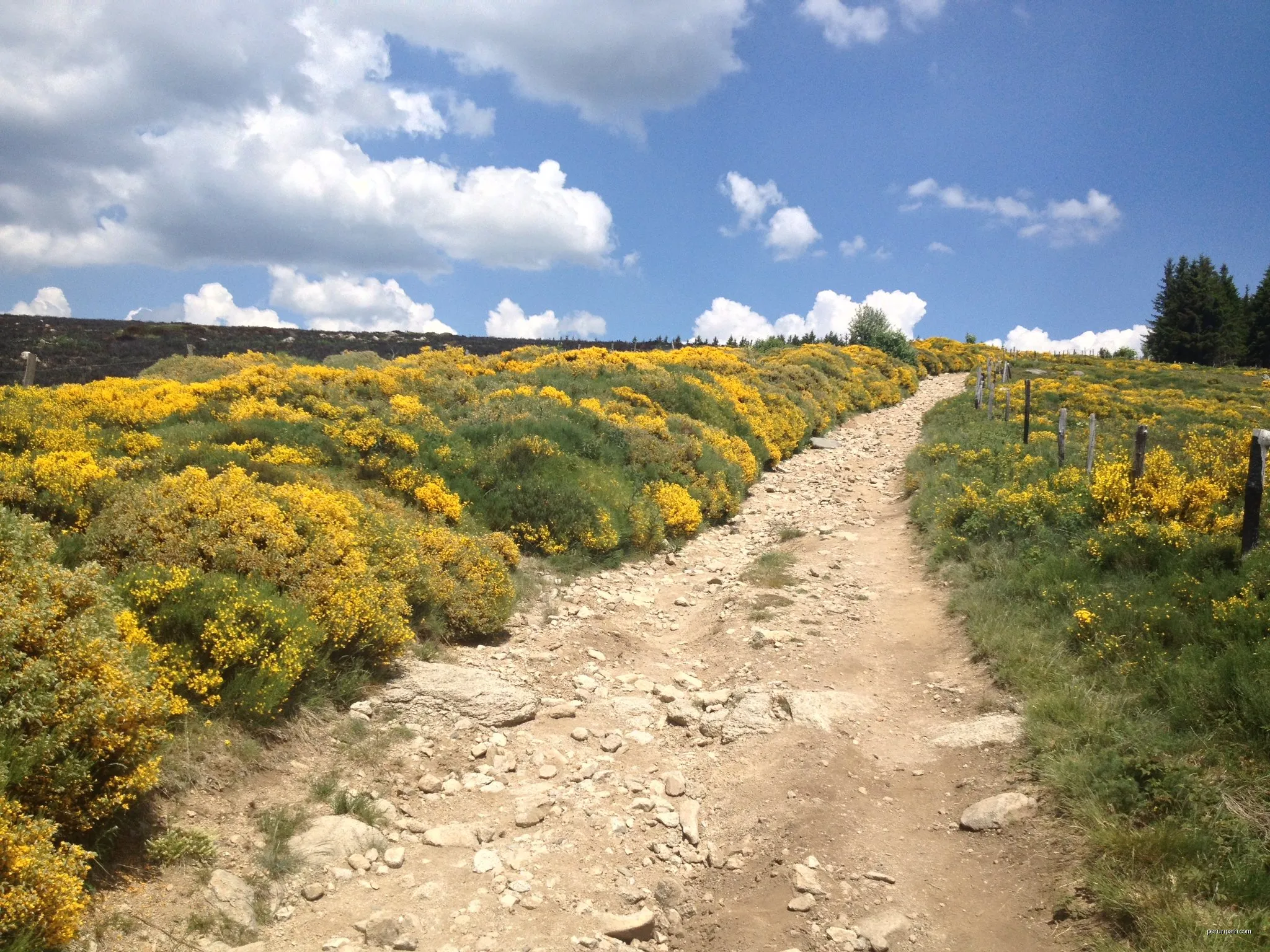 Chemin de Malevrère