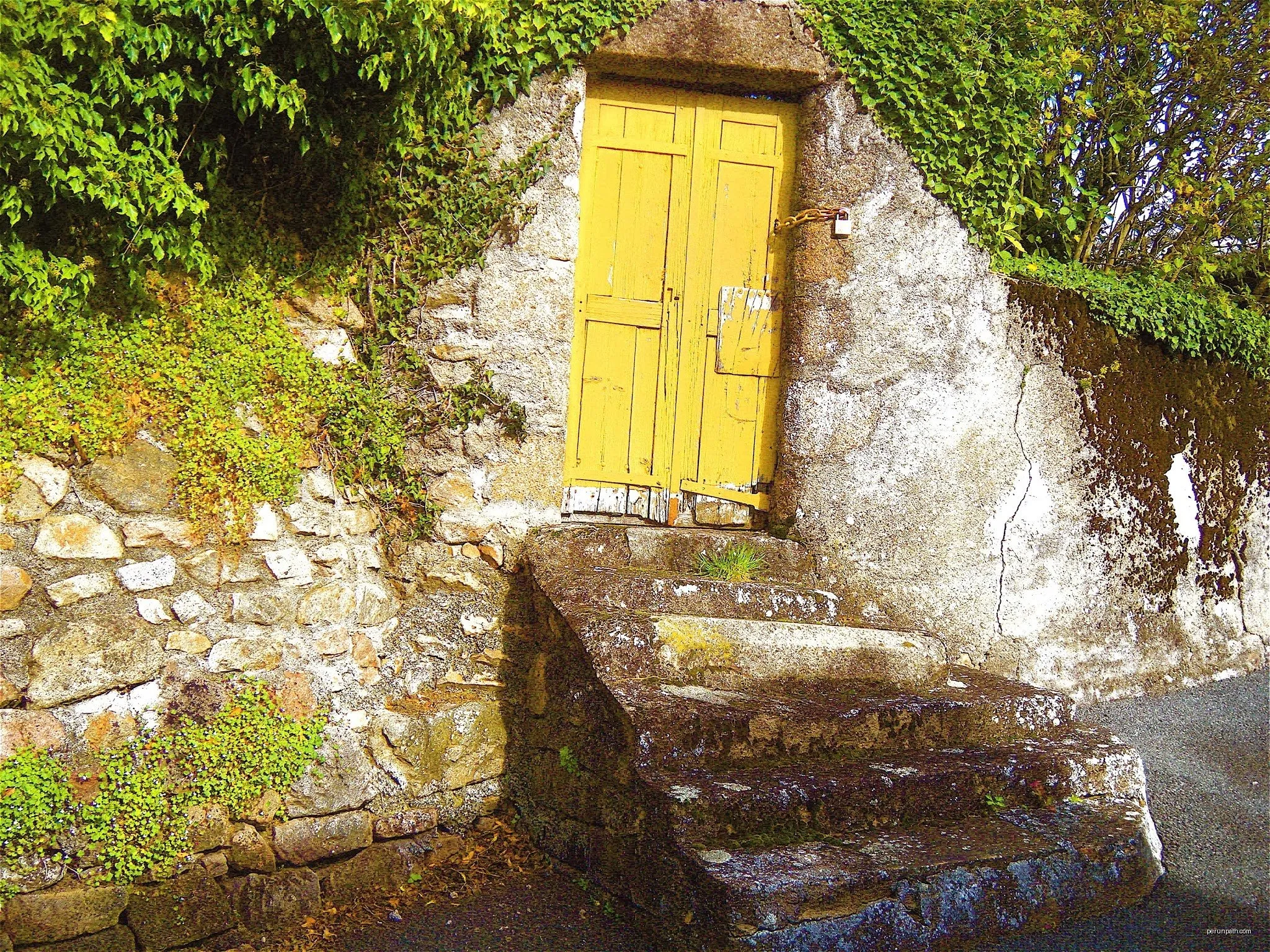 L'Étang de Montmazot