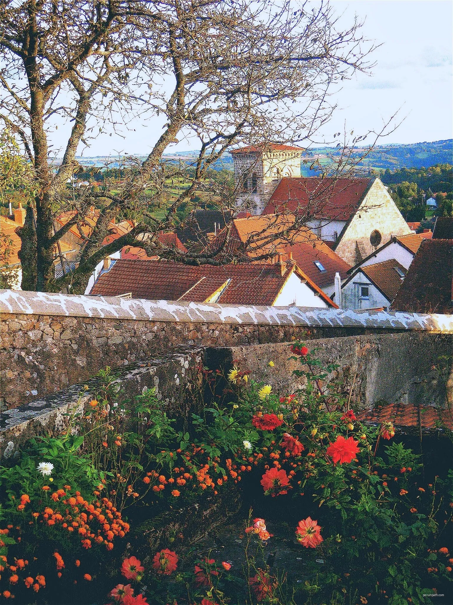 L'Étang de Montmazot