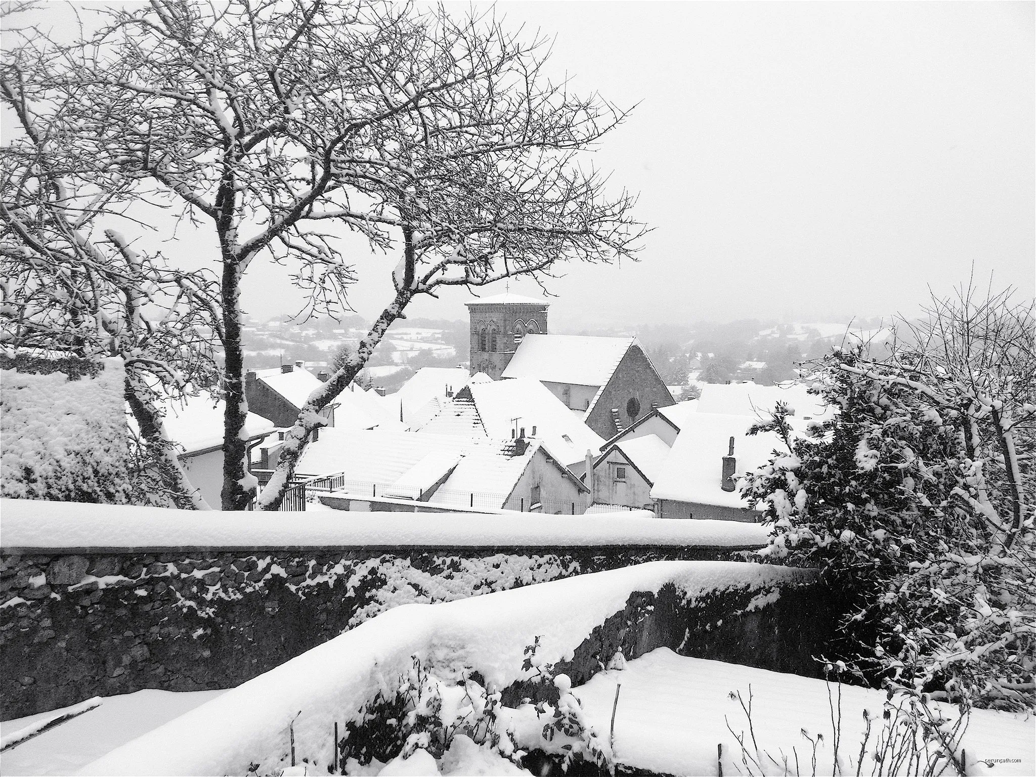 L'Étang de Montmazot