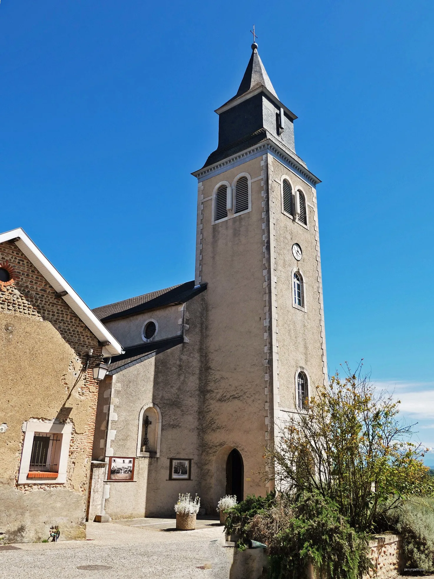 Le bois de Sauvagnon