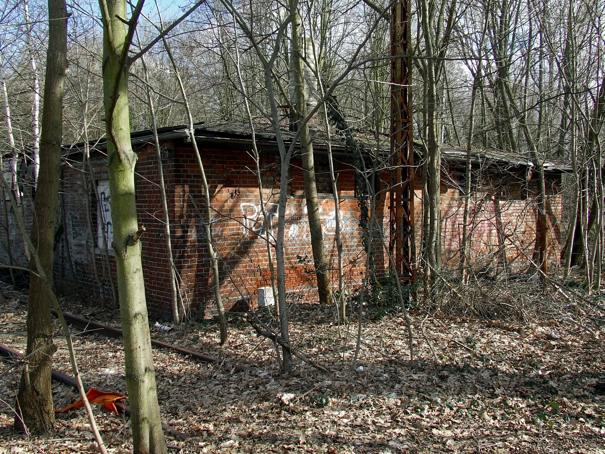 Abandoned warehouse on severely overgrown lot at Hermann-Löns-Straße in Cottbus-Spremberger Vorstadt. | Autor: Trio3D | Licencja: CC BY-SA 4.0 | Źródło: Wikimedia Commons