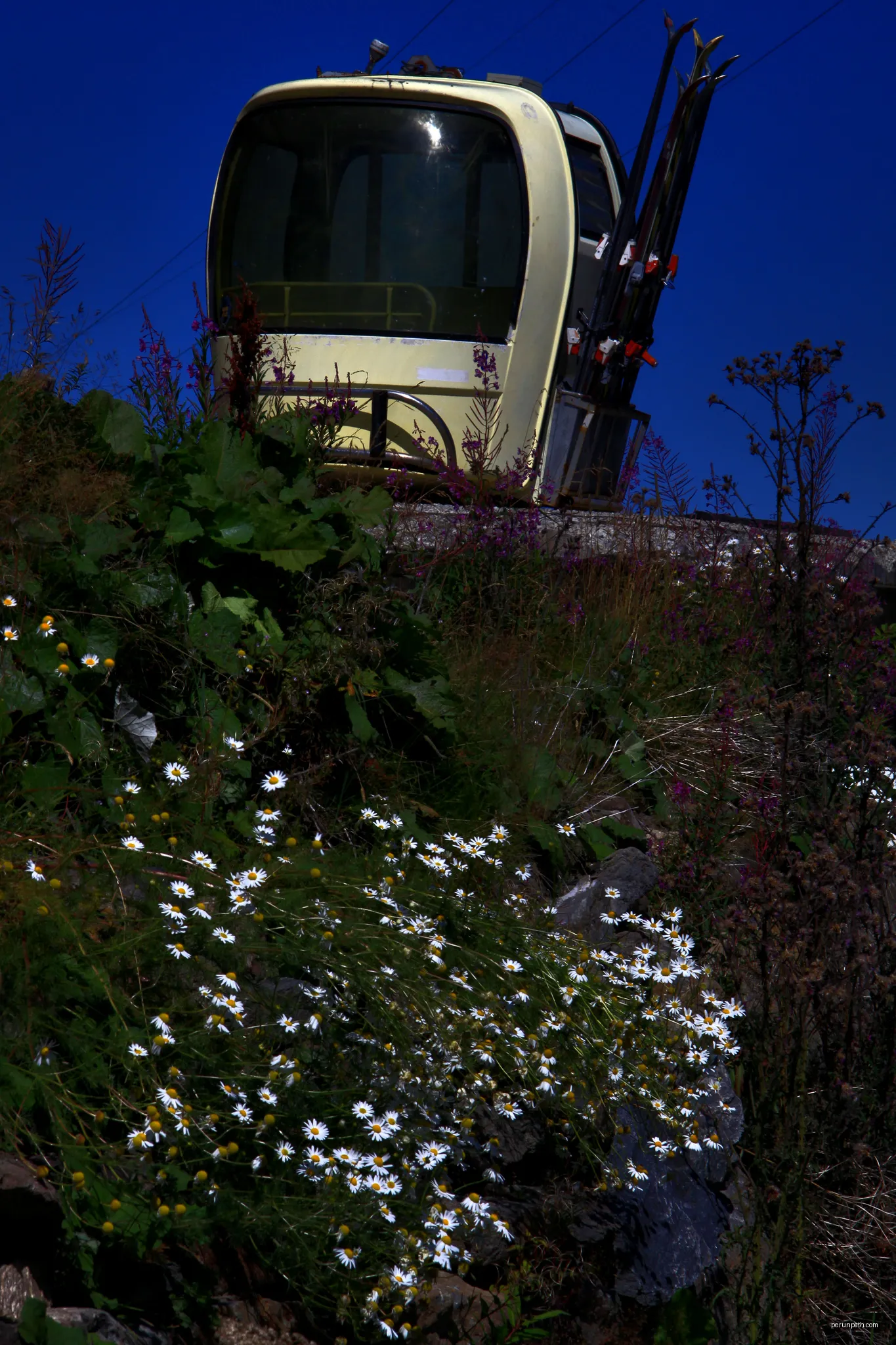 Mission Black Forest