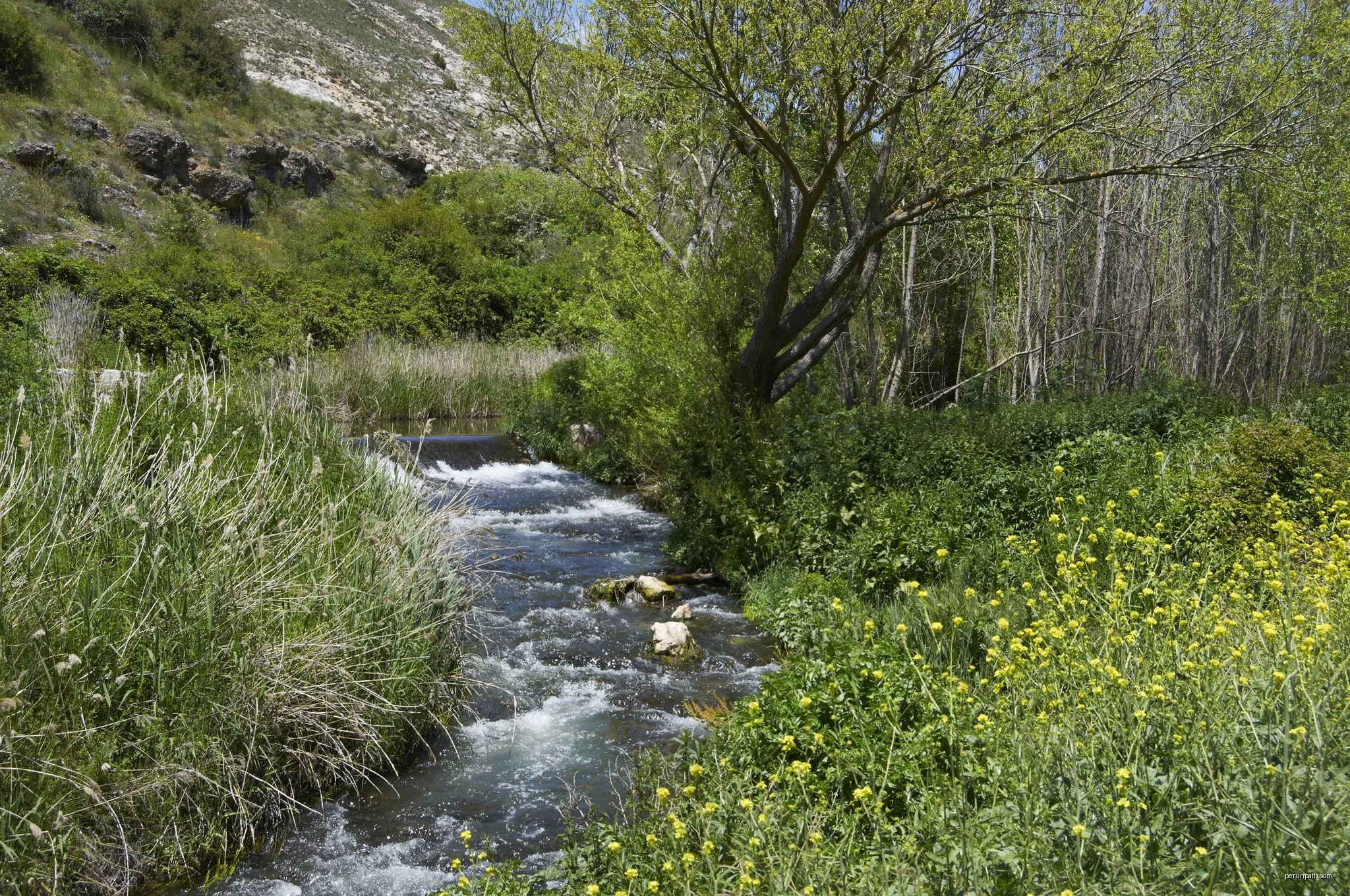 Tierras de Frontera