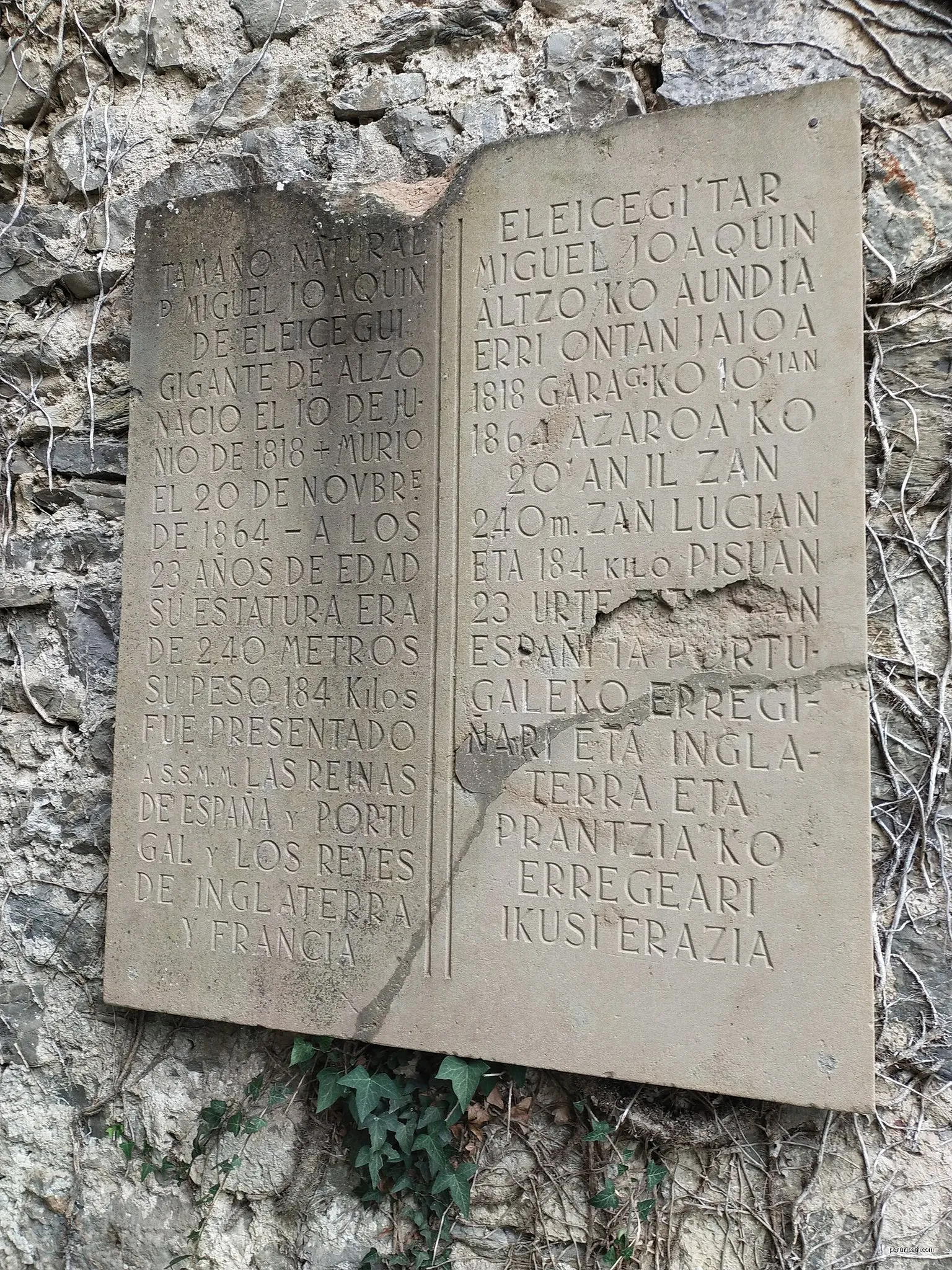 Altzoko Haundiaren ibilbidea