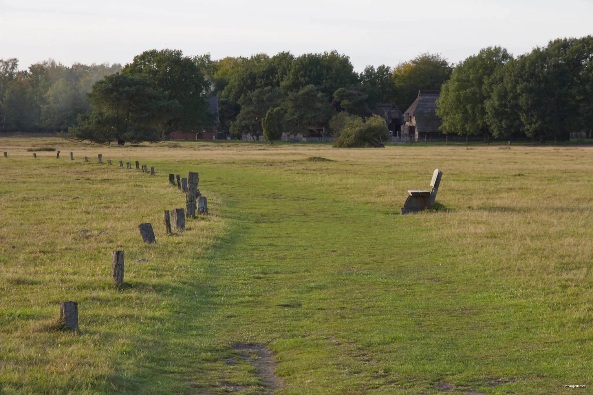 Pietzmoor in der Lüneburger Heide bei Schneverdingen, Niedersachsen, Deutschland | Autor: Losch | Licencja: CC BY-SA 3.0 | Źródło: Wikimedia Commons