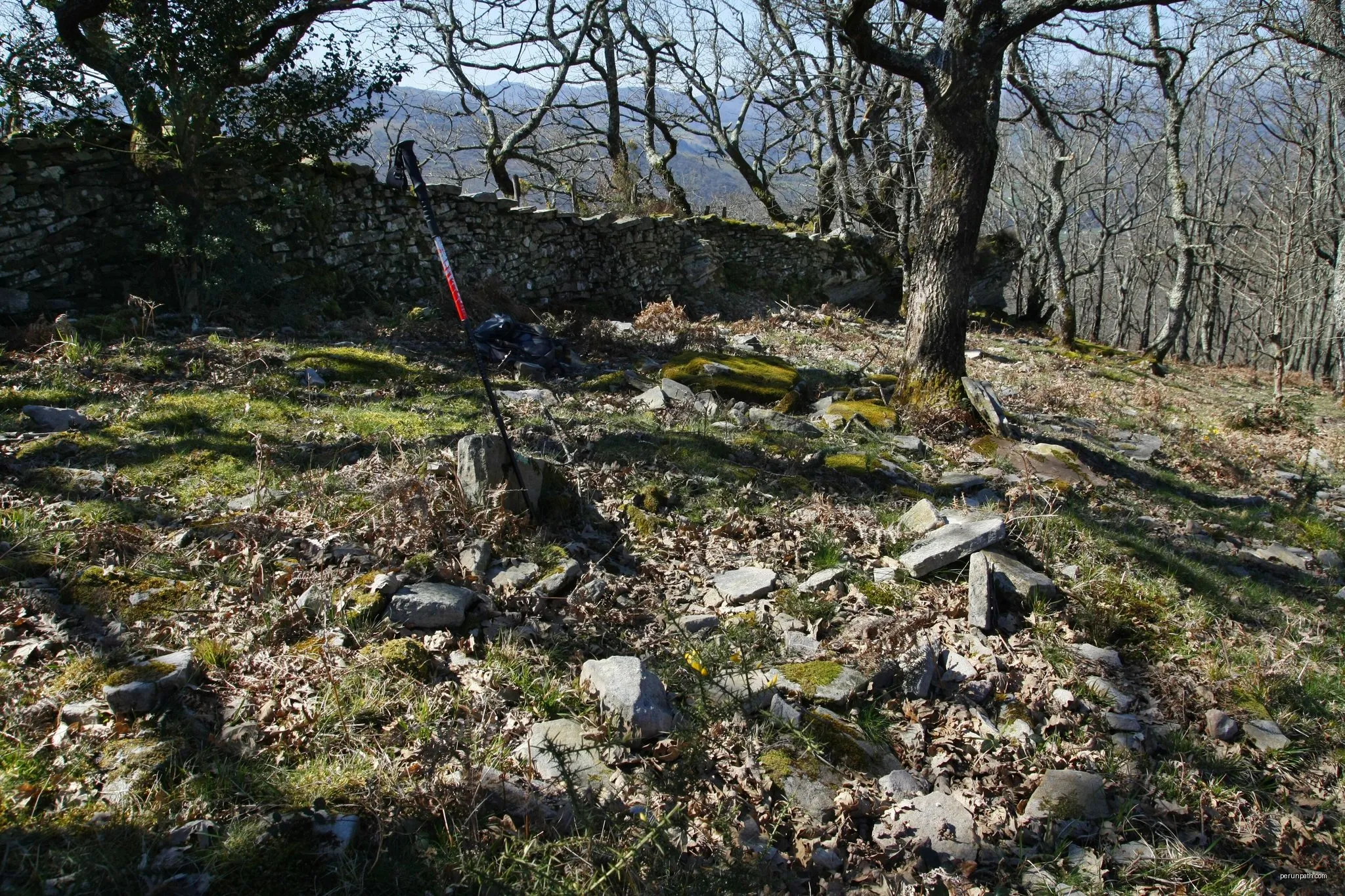 Bidasoko Bide Berdea