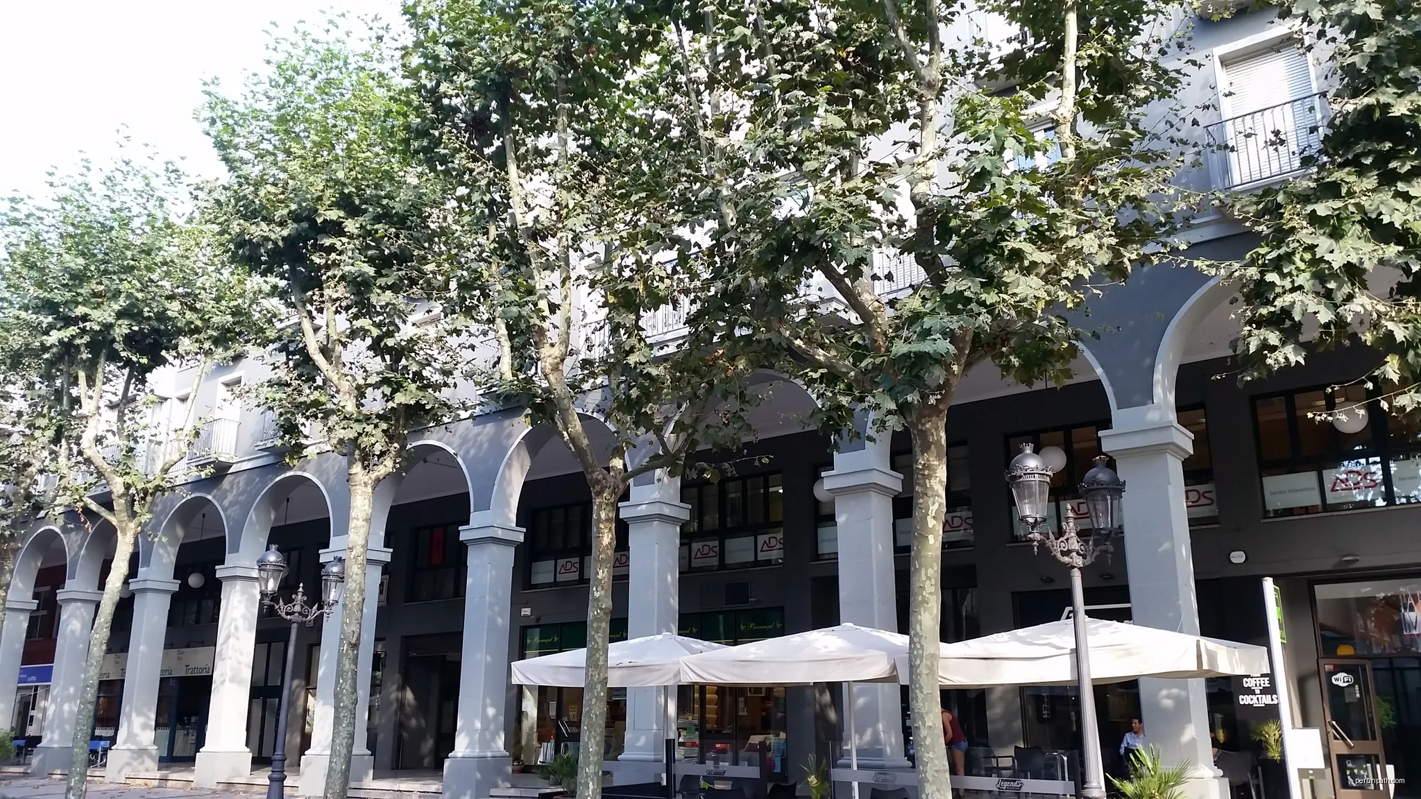 Enllaç Olot