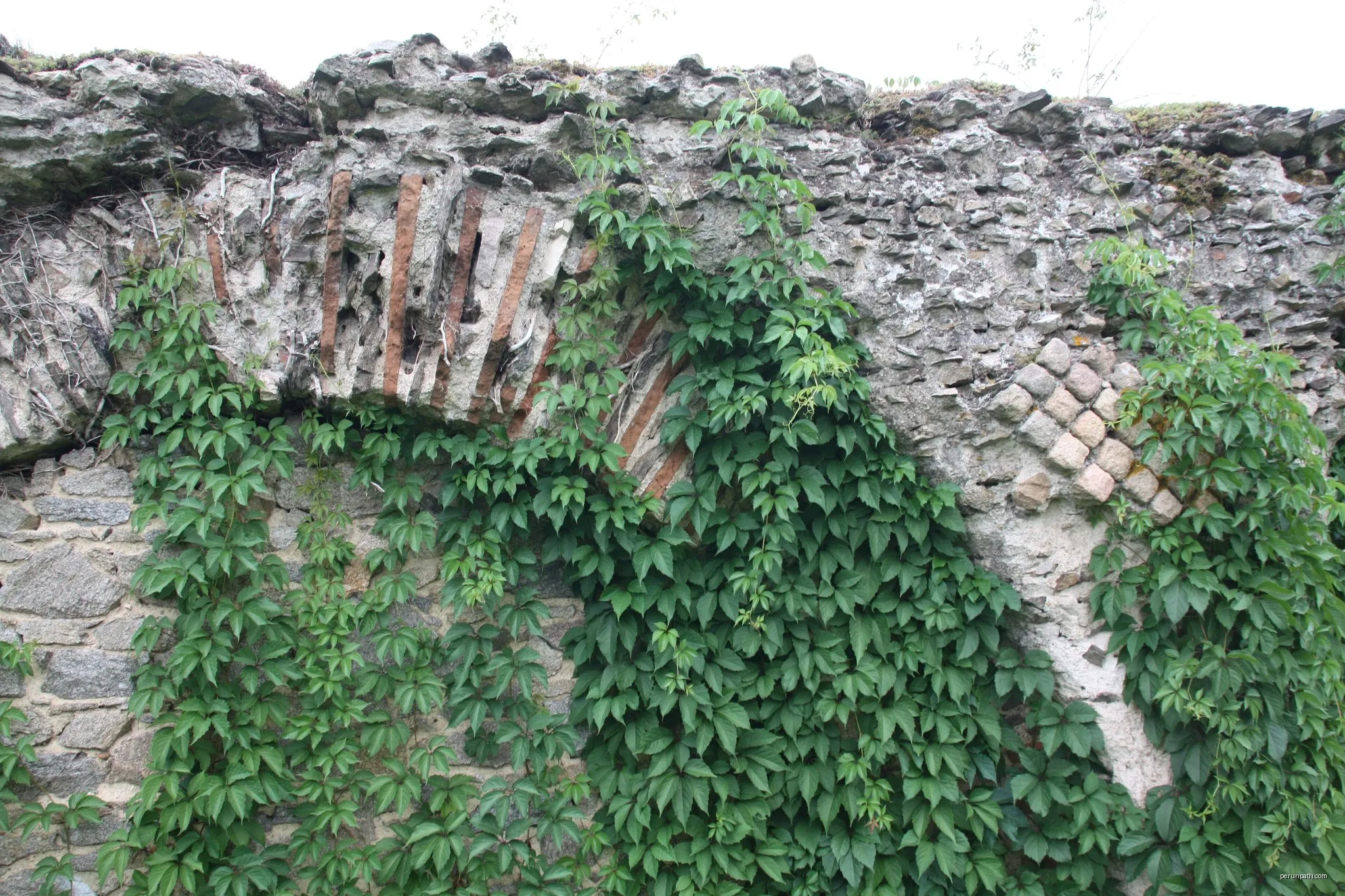 Rocade Cyclable de Chaponost
