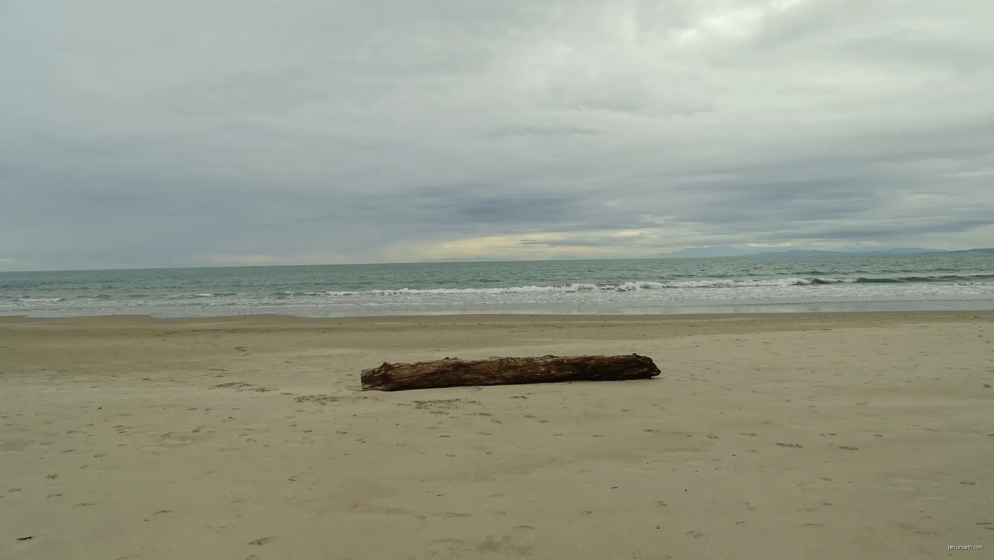 Arbre seul sur la plage 1 | Autor: Selmoval | Licencja: CC BY-SA 4.0 | Źródło: Wikimedia Commons