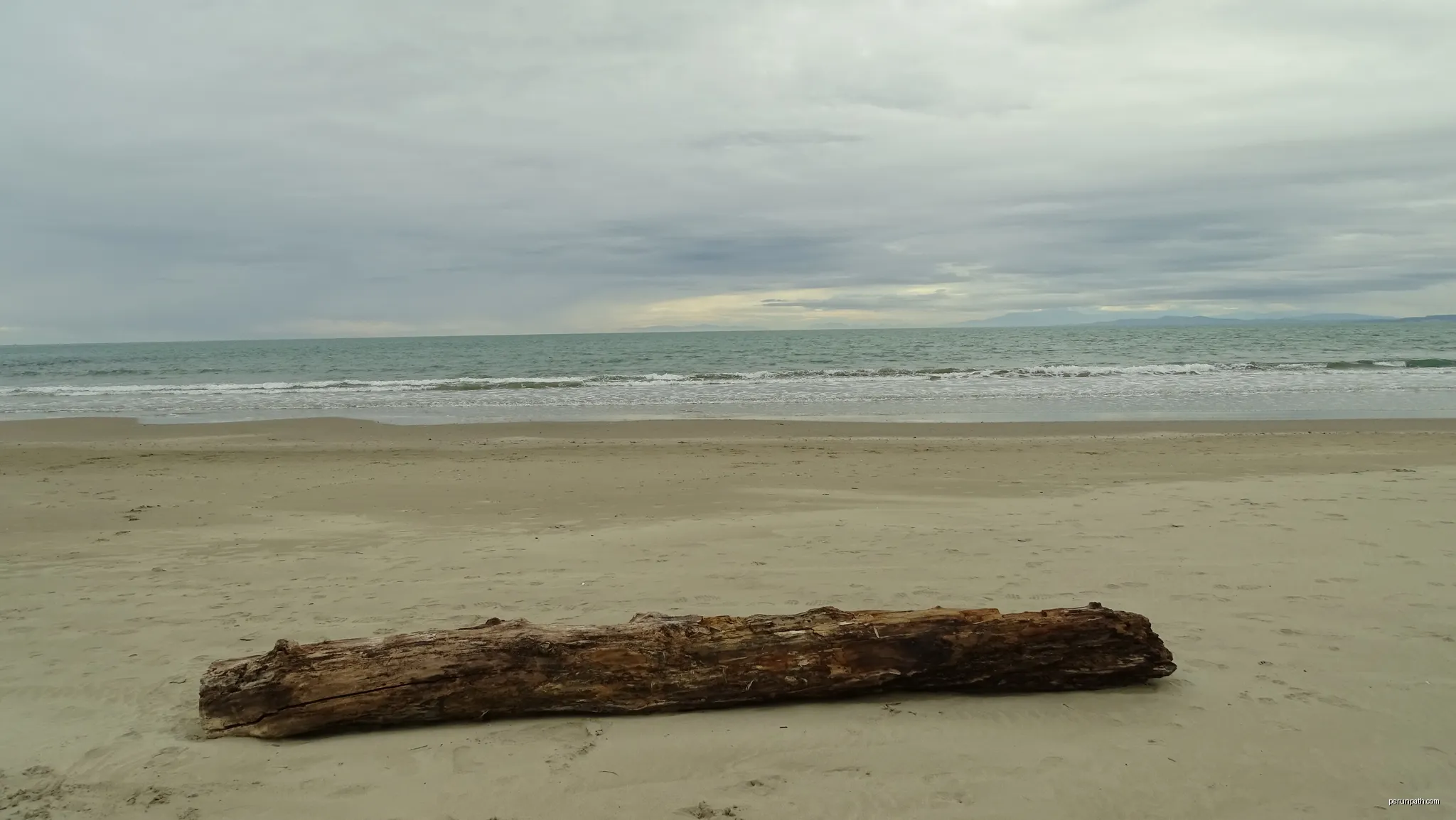 Arbre seul sur la plage 1 | Autor: Selmoval | Licencja: CC BY-SA 4.0 | Źródło: Wikimedia Commons