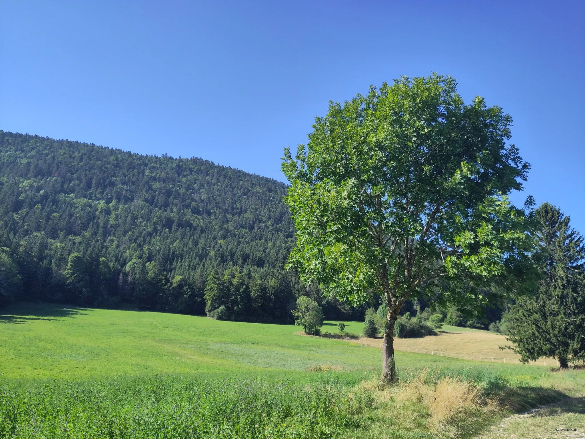 67:1 AUTOUR DU VILLAGE D'AUTRAN (VERT)