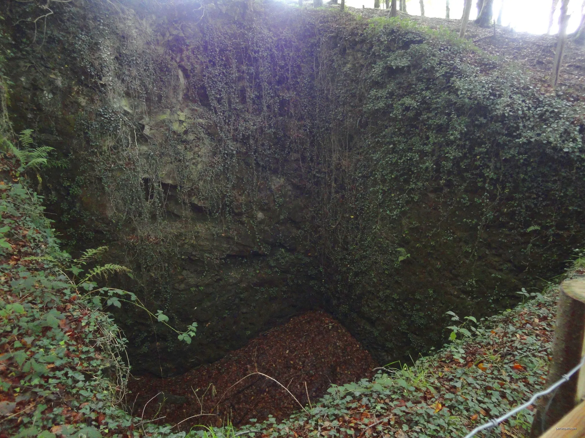 Elurzuloen bidea