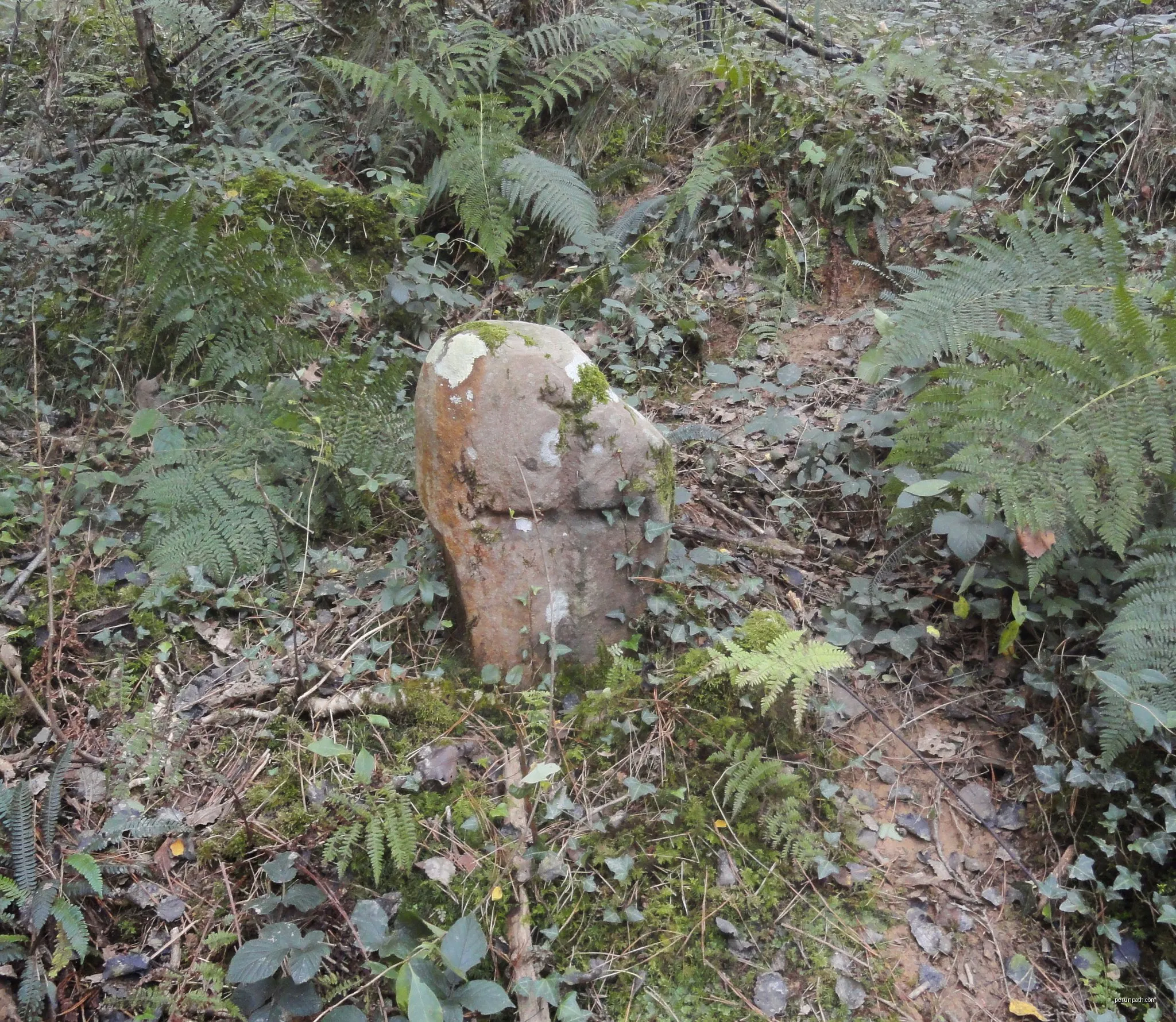 Oindiri bira