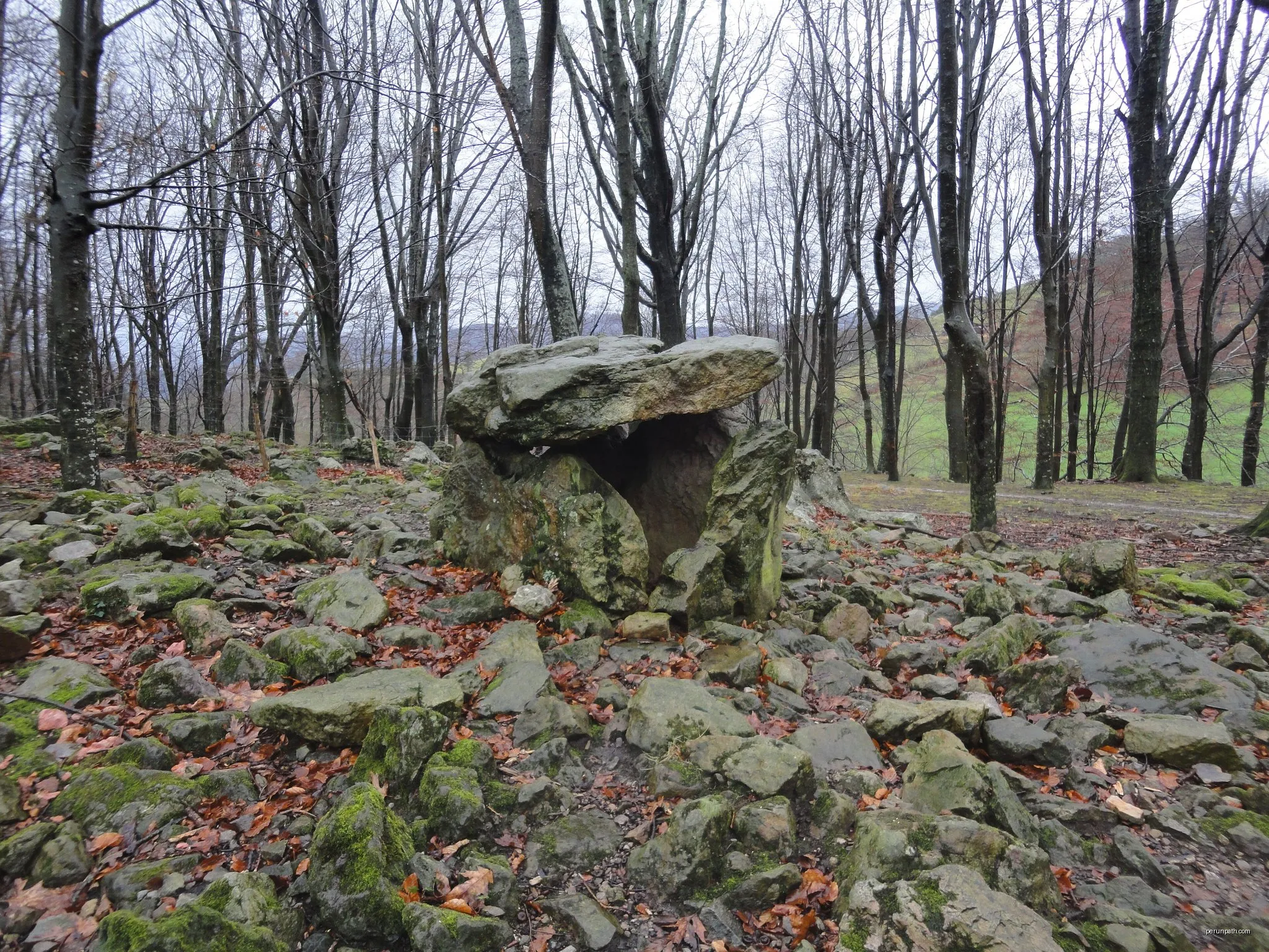 Txoritokieta