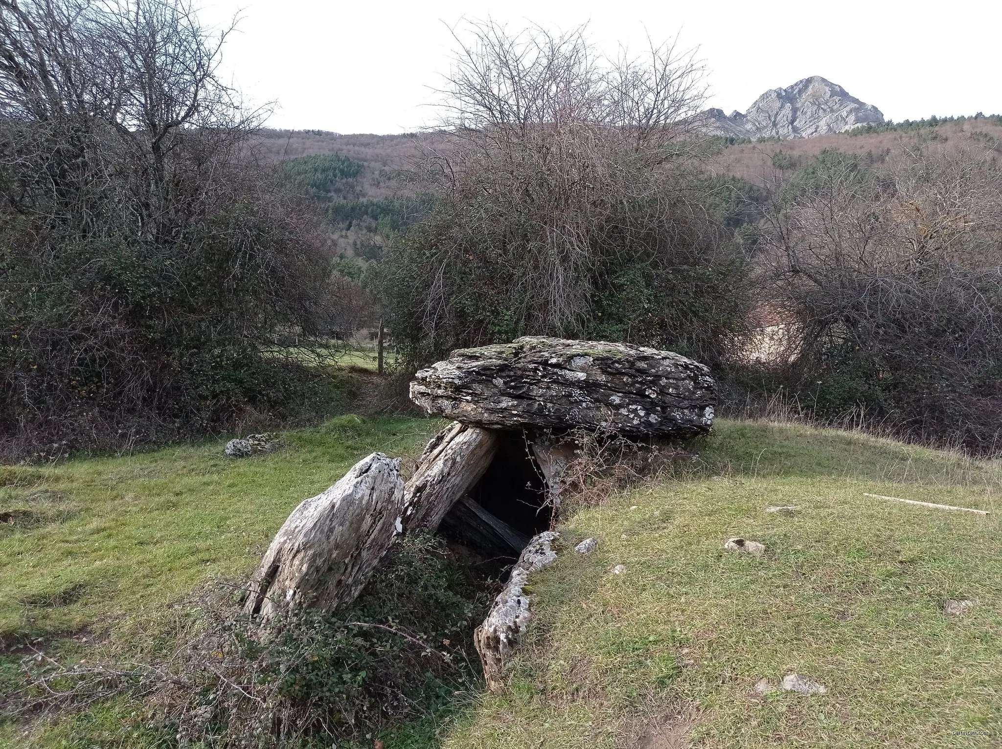 Errege bidea: Lotura 4. Lapatia