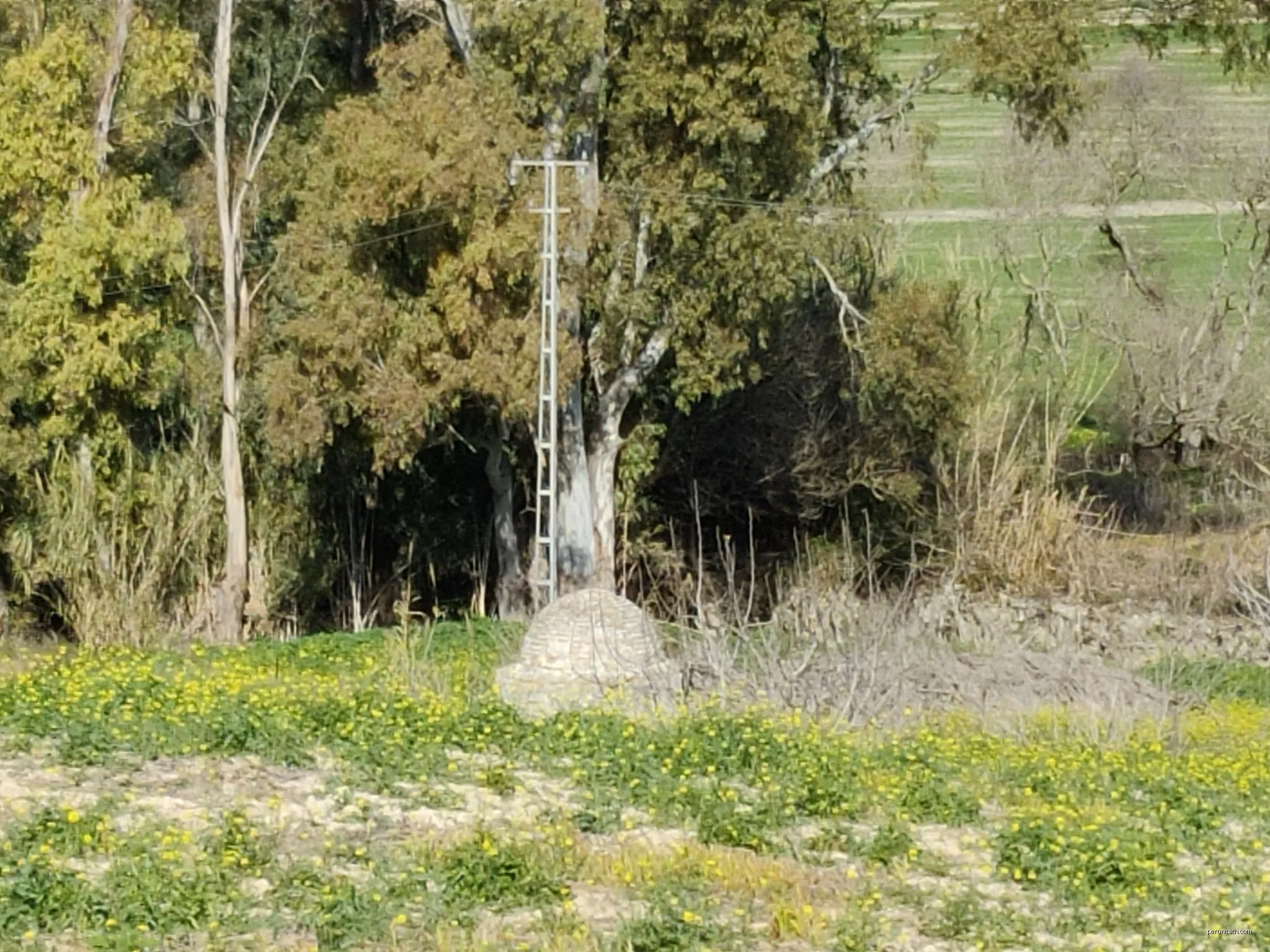 La Canaleja