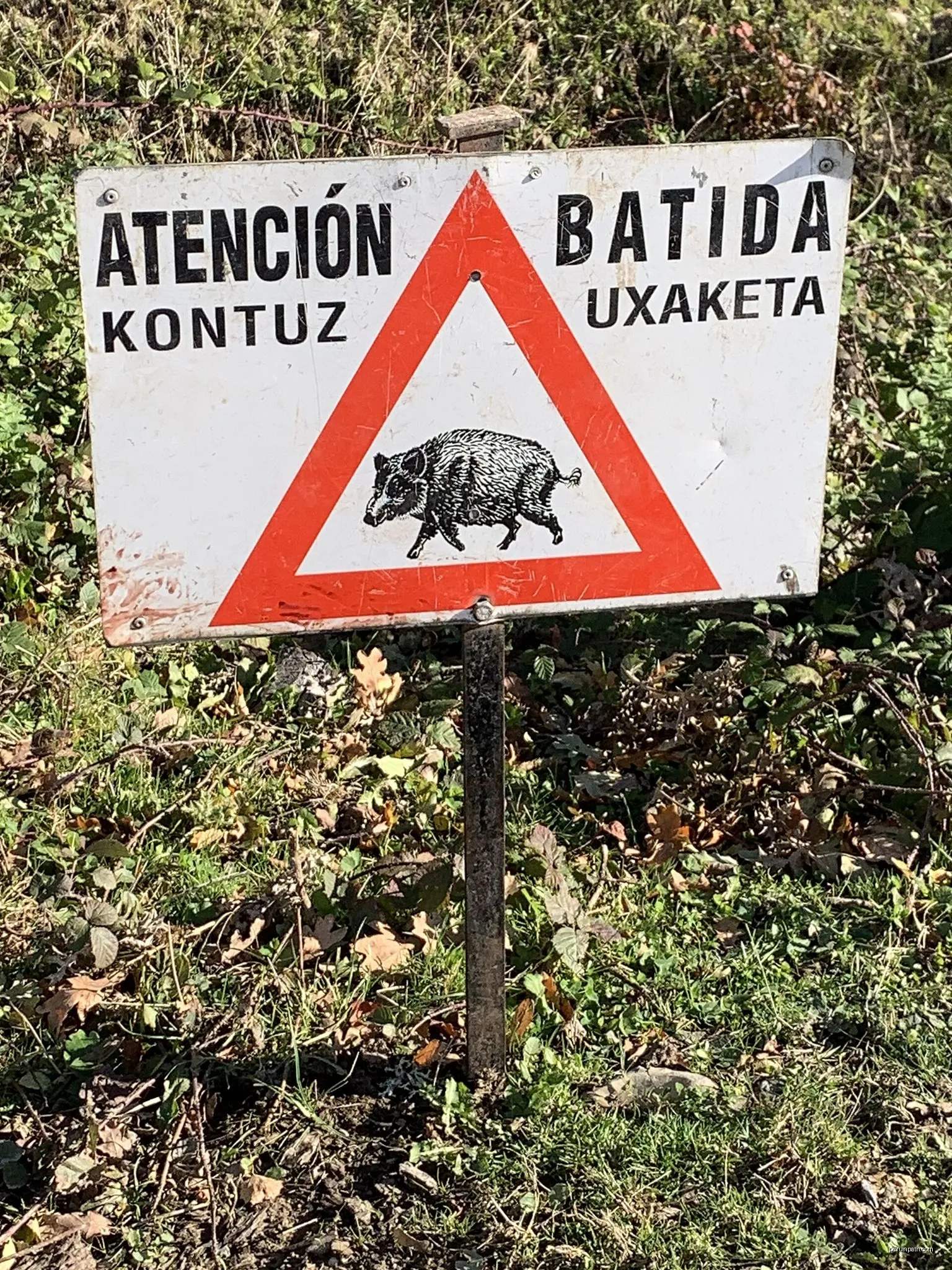 Zarate-Gorbeia