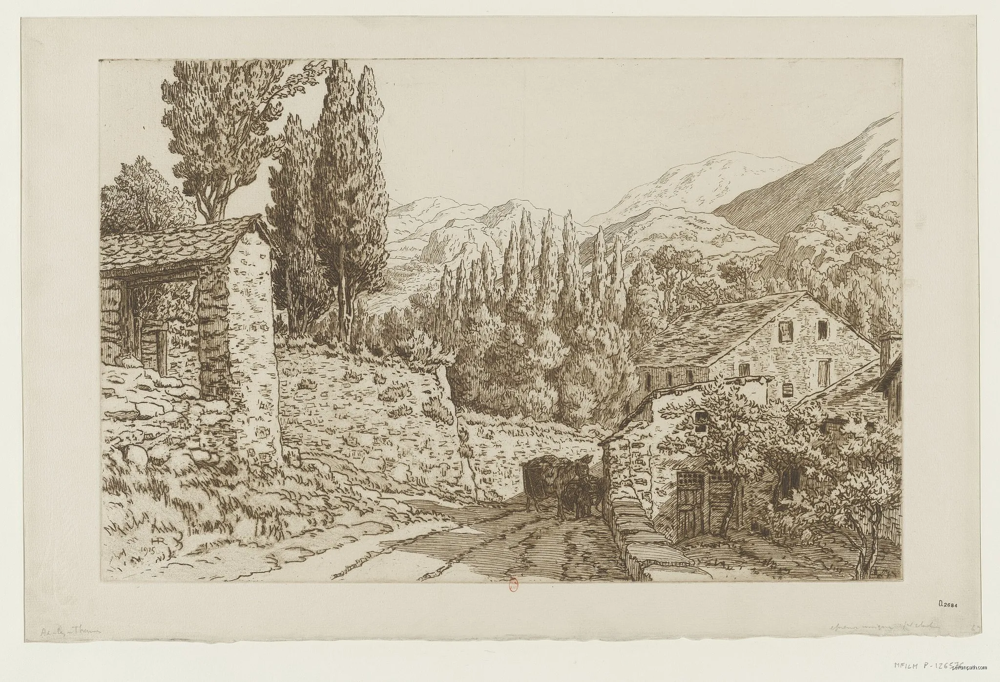 Le sentier d’Henri