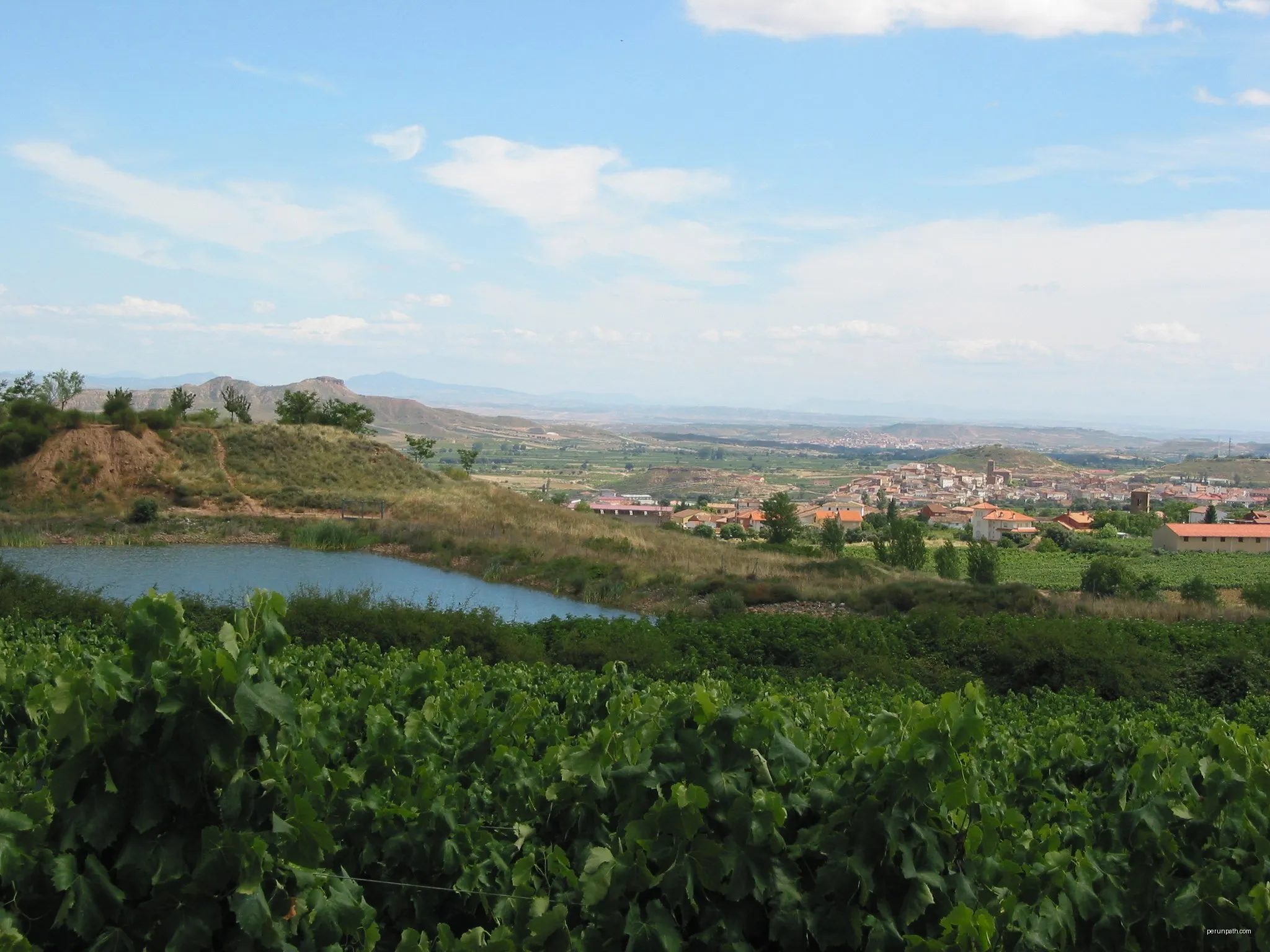 Balsa Medrano