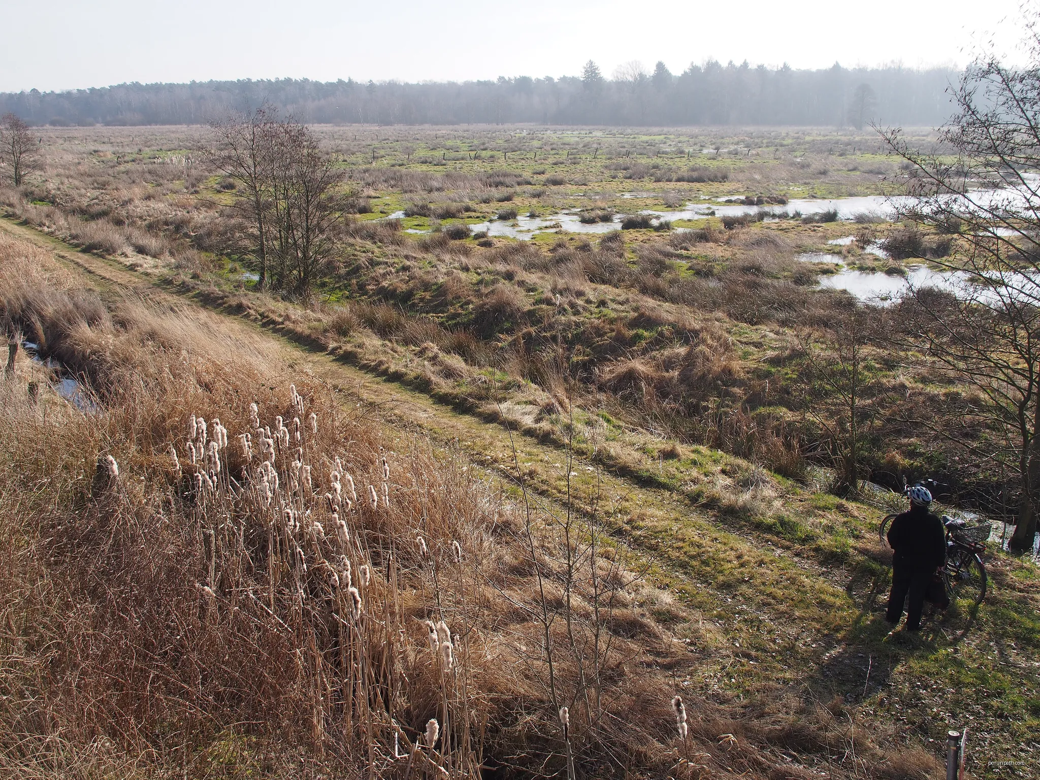 Postmoor (NSG Lutter) bei Bargfeld, Gemeinde Eldingen, Landkreis Celle - rechts des Weges der Bach "Köttelbeck" | Autor: Hajotthu | Licencja: CC BY 3.0 | Źródło: Wikimedia Commons