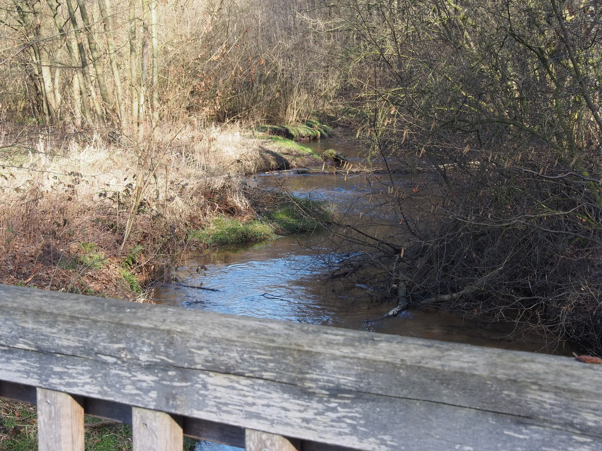 Südheide 'Kühe in Halbtrauer' W21k (kurze Tour)