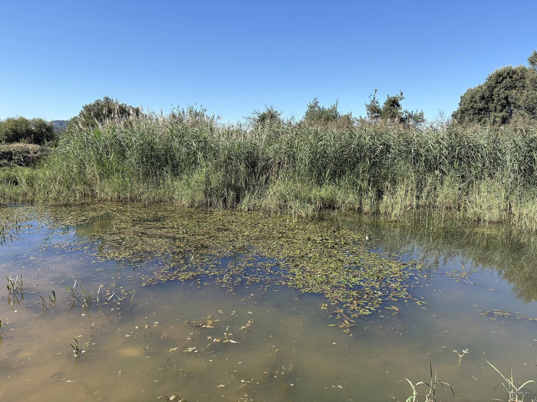 Puigpelat – Sant Martí Xic – Puigpelat