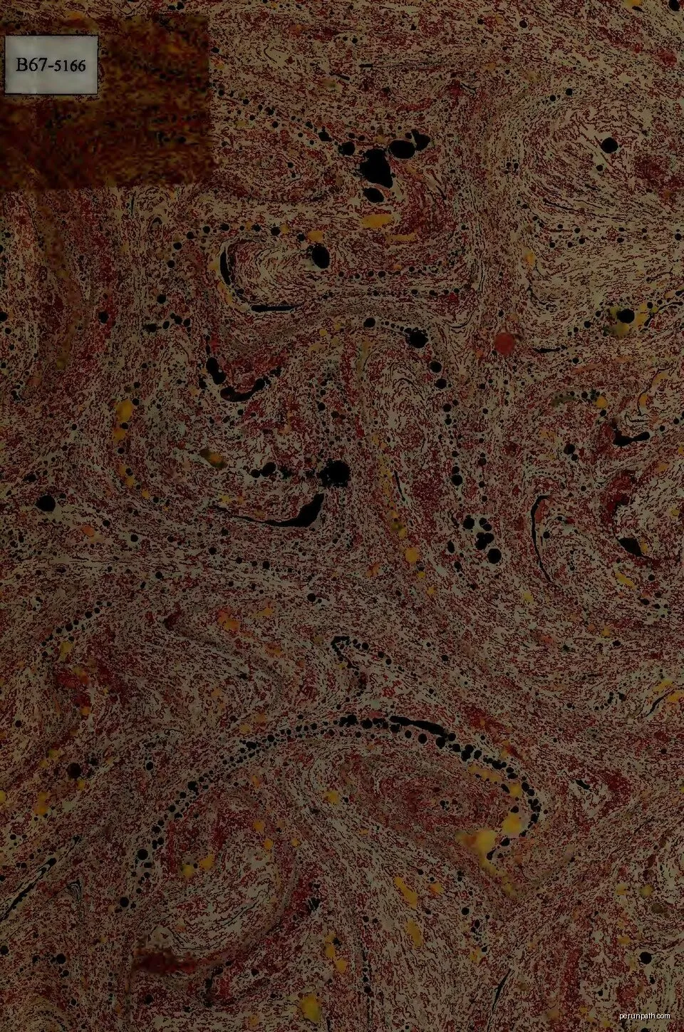 Le Coeur du Rougier