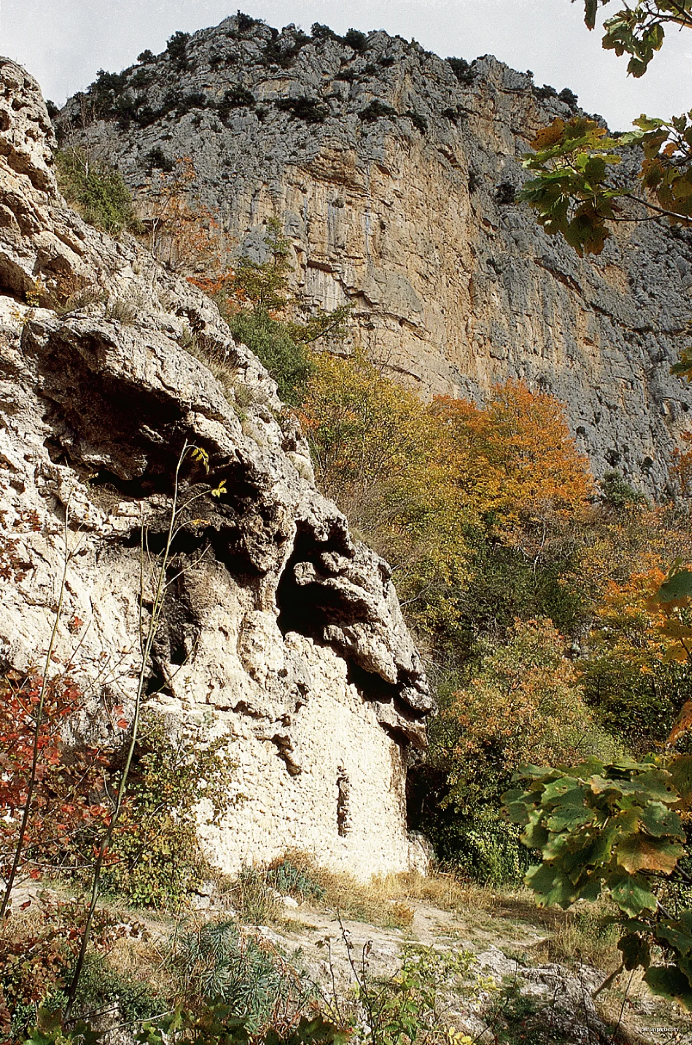 Baume Murade. Grottes de Saint-Maurin. | Autor: JYB Devot | Licencja: CC BY-SA 4.0 | Źródło: Wikimedia Commons