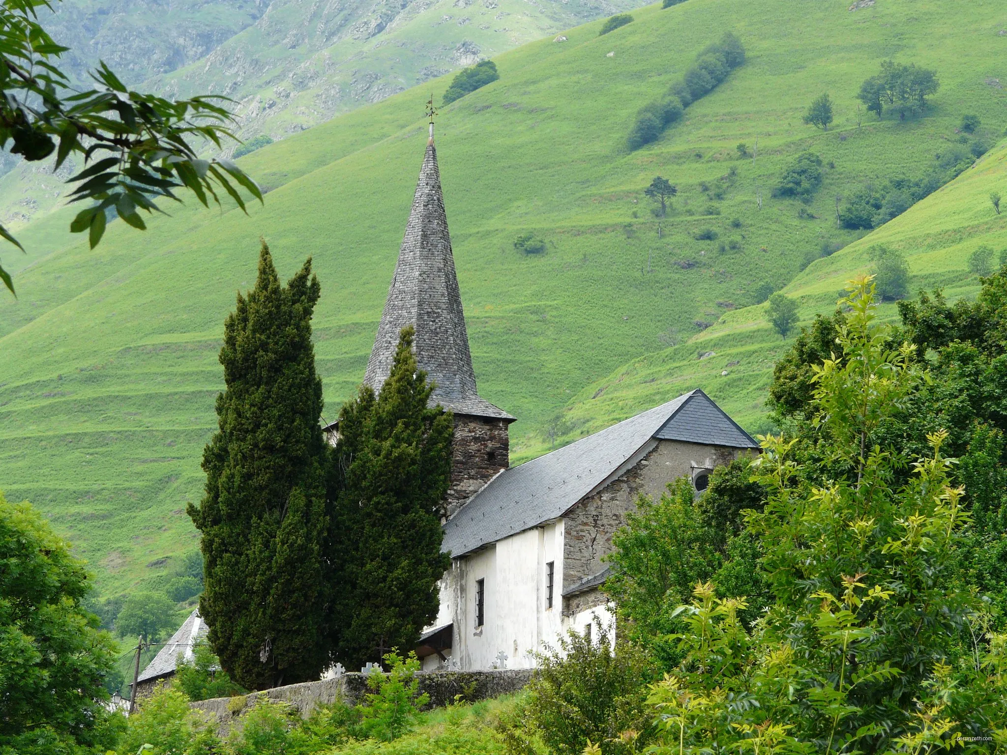 Fageda de Carlac
