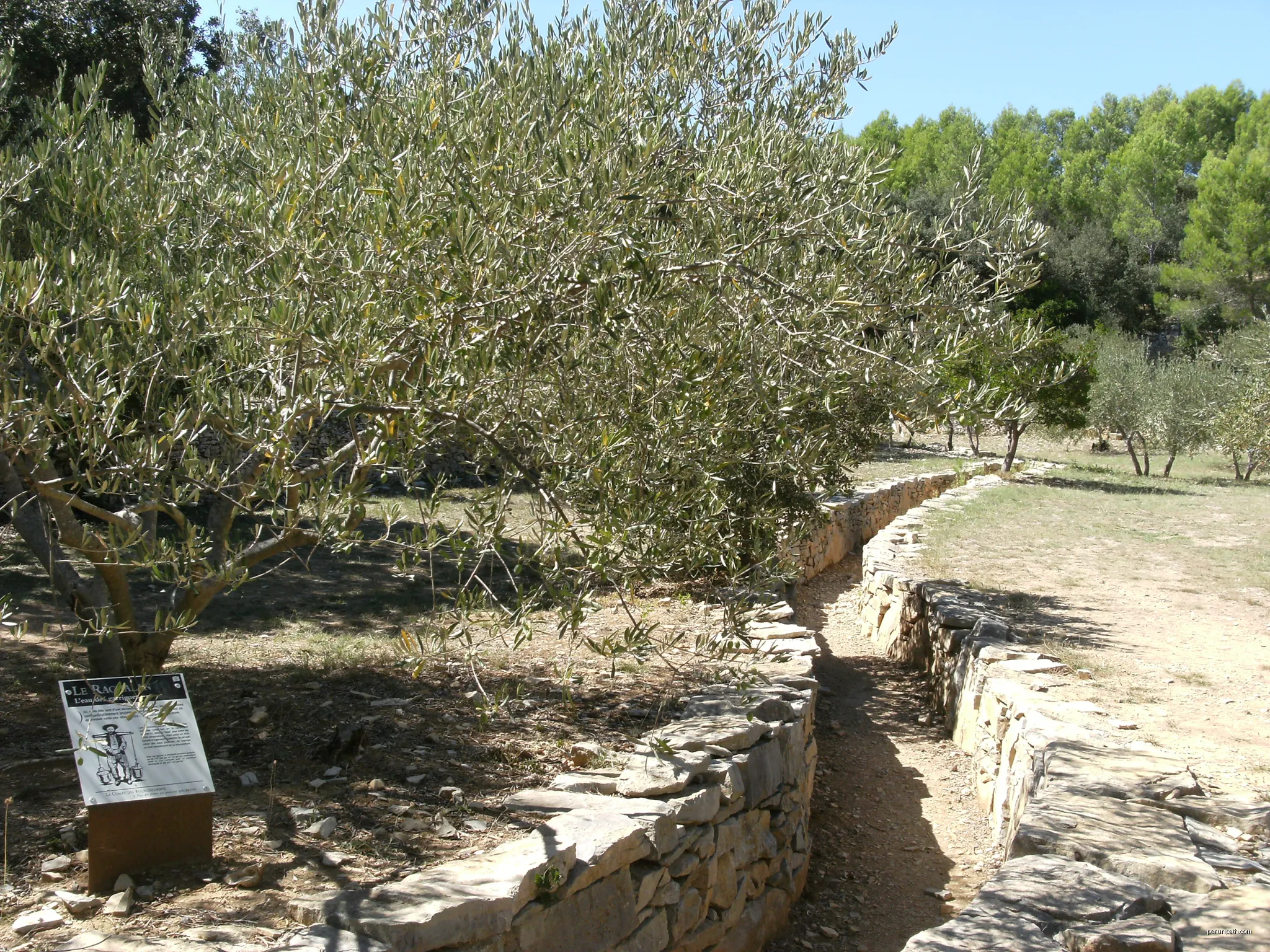 La combe des Bourguignons