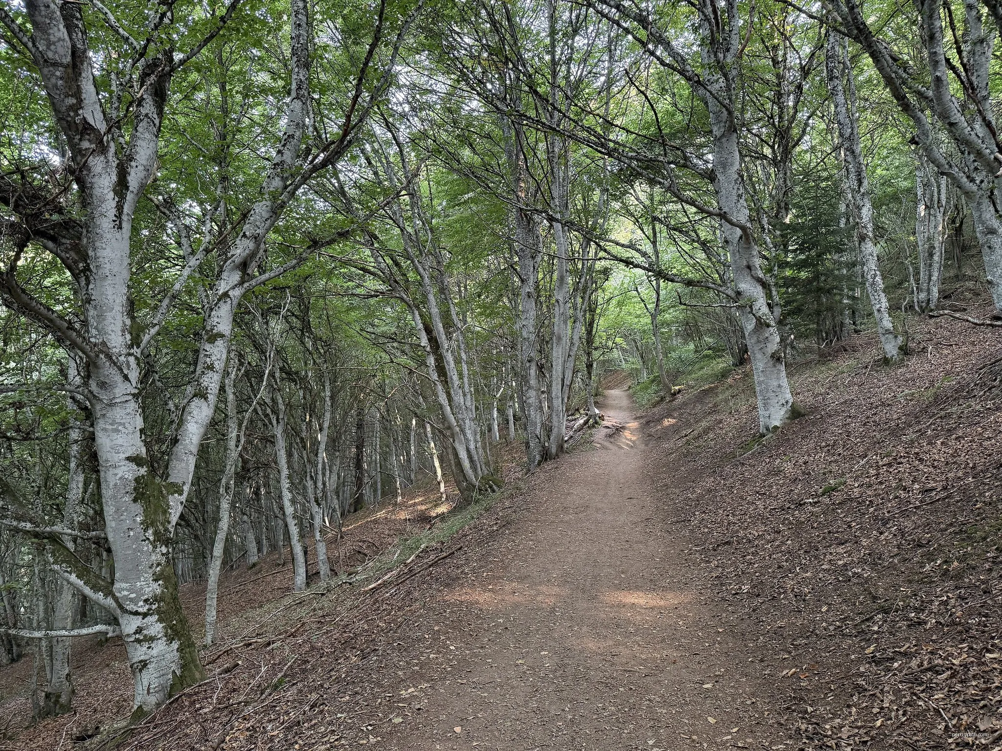Tour du Puy de Dôme