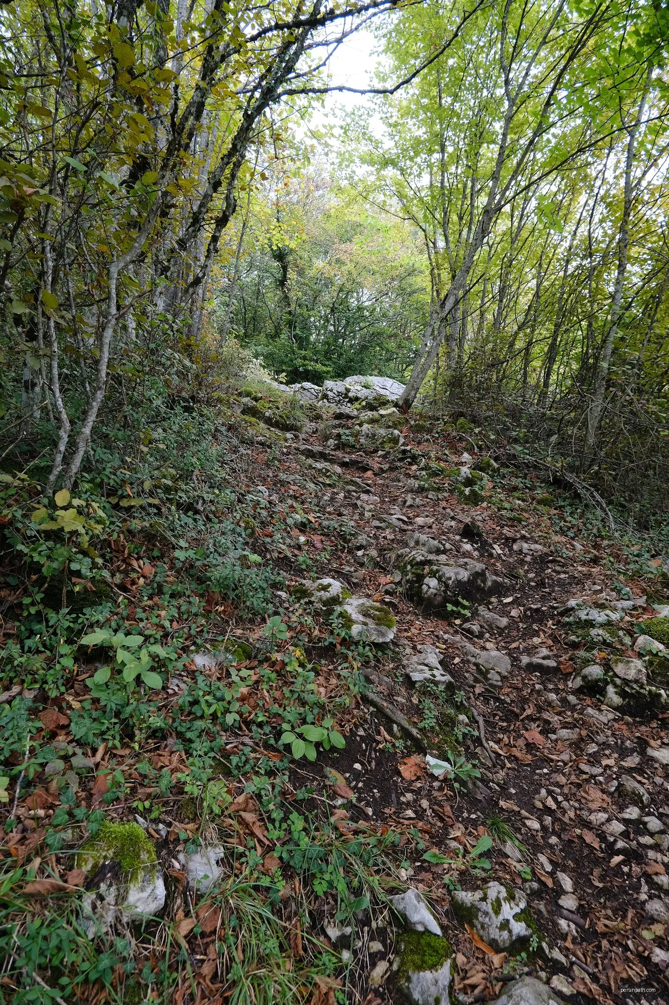 Tour du Sapenay