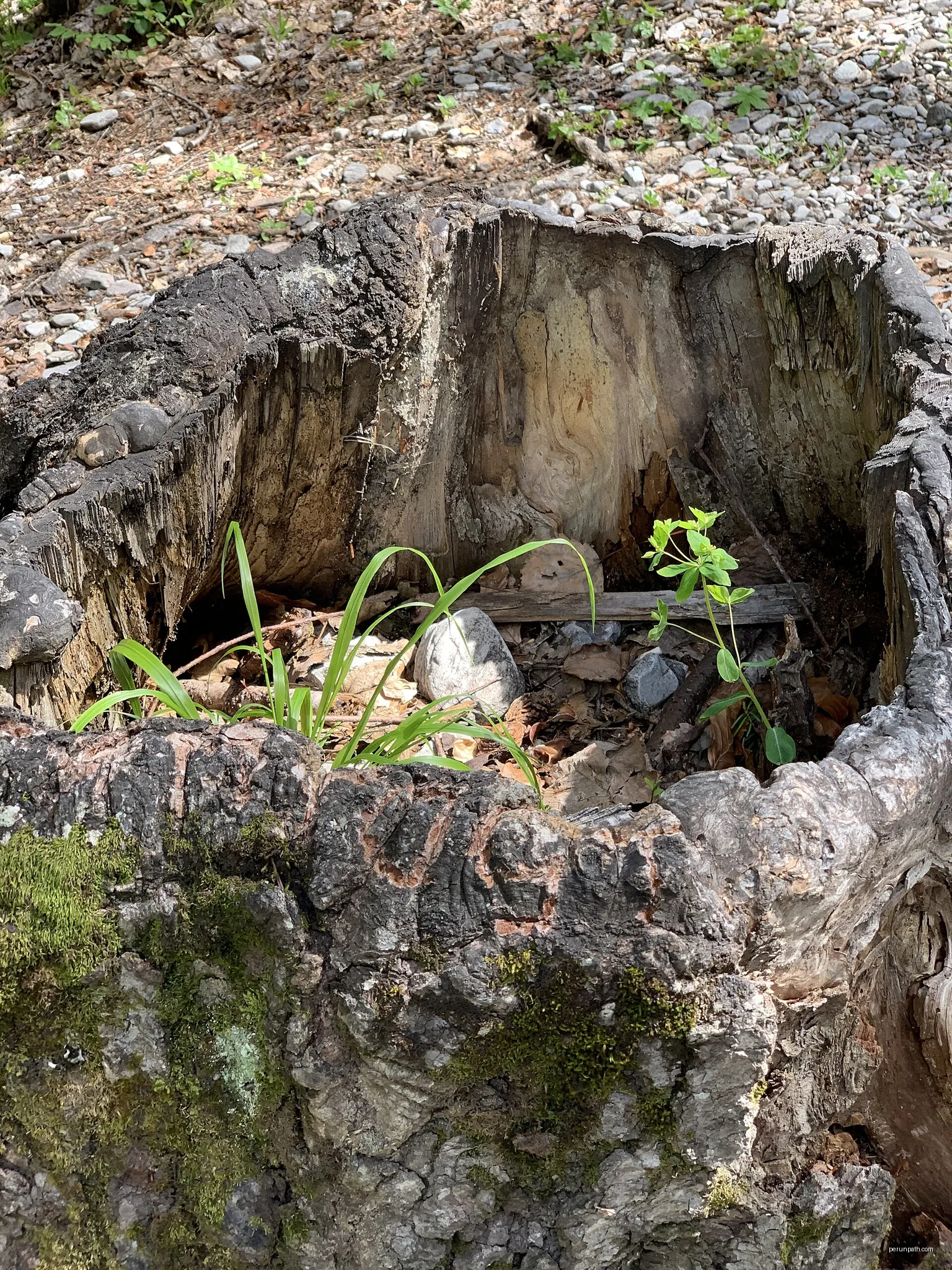 Clot Napoléon et Clot Mélèze - Fontaine de l'Ours et Terre Rouge