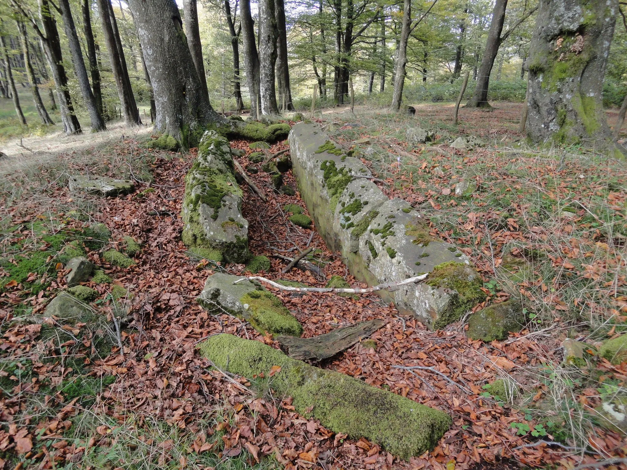 Bernoako Galtzada: Intxusburu lotunea