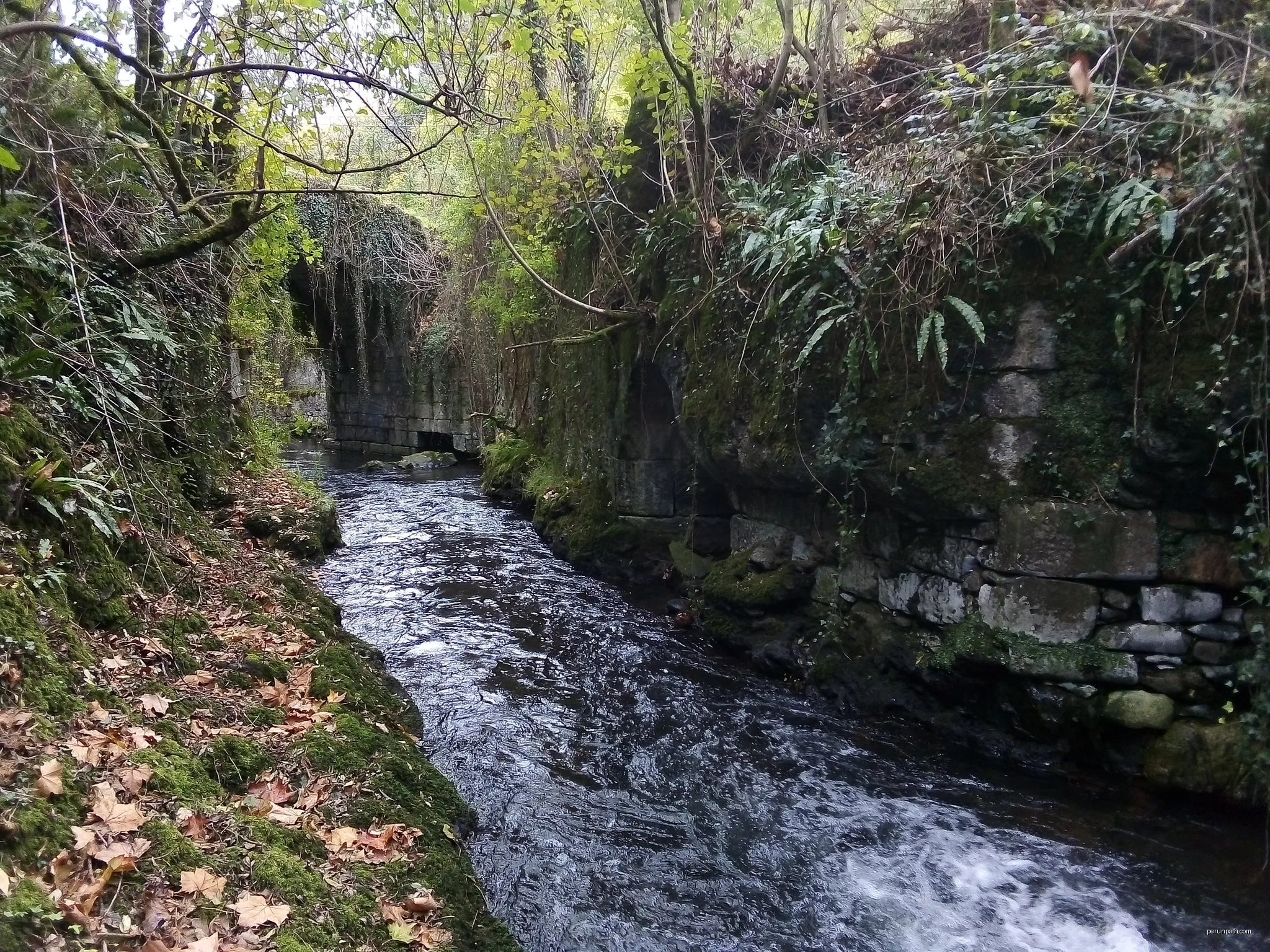 Bidasoko Bide Berdea / Vía Verde del Bidasoa (Lesakako konexioa / conexión Lesaka)