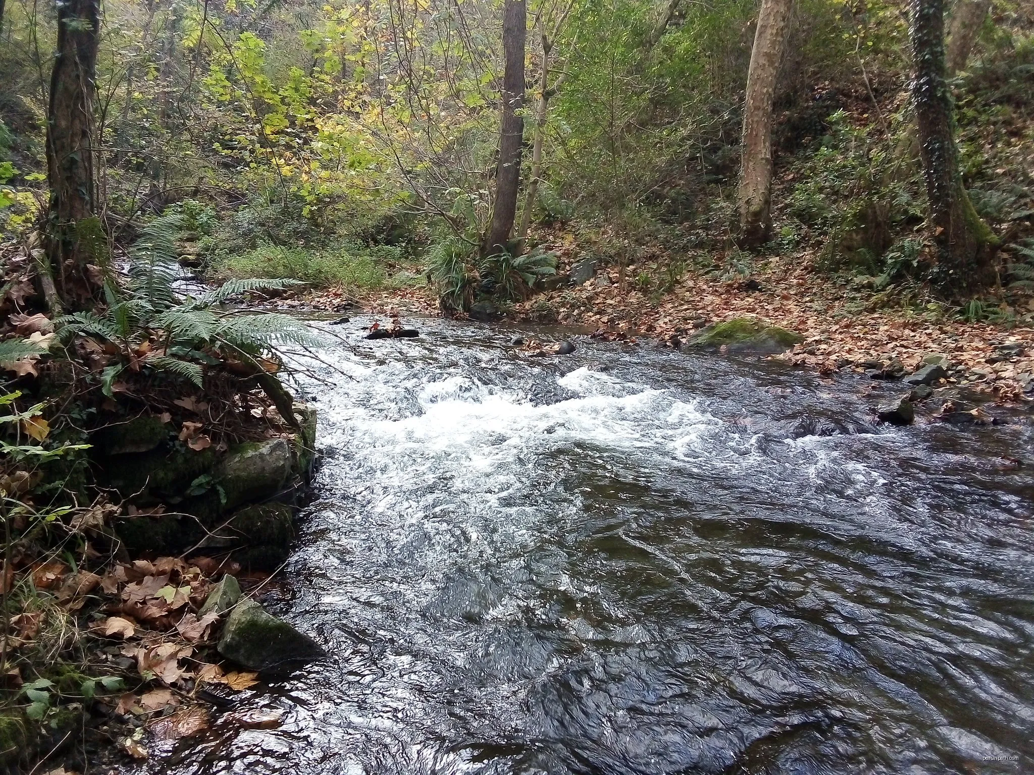 Bidasoko Bide Berdea / Vía Verde del Bidasoa (Lesakako konexioa / conexión Lesaka)