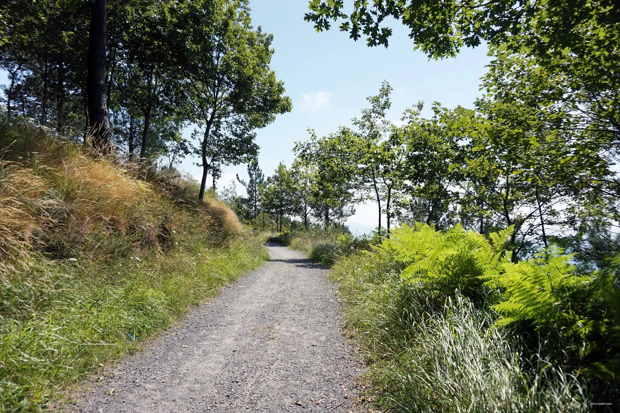 XCO Monte Avril