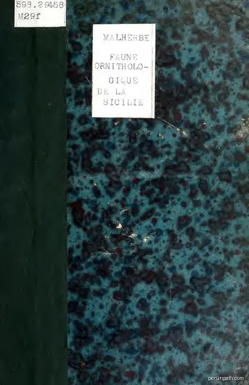 Faucon - Place de l'Obélisque