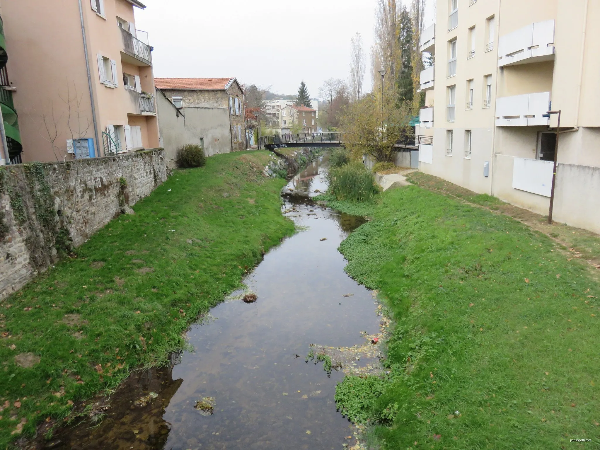 Les Lapins